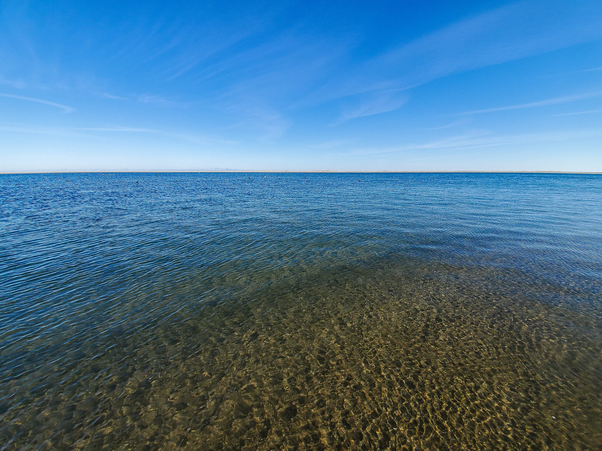 2020.12.26 cape cod-17.jpg