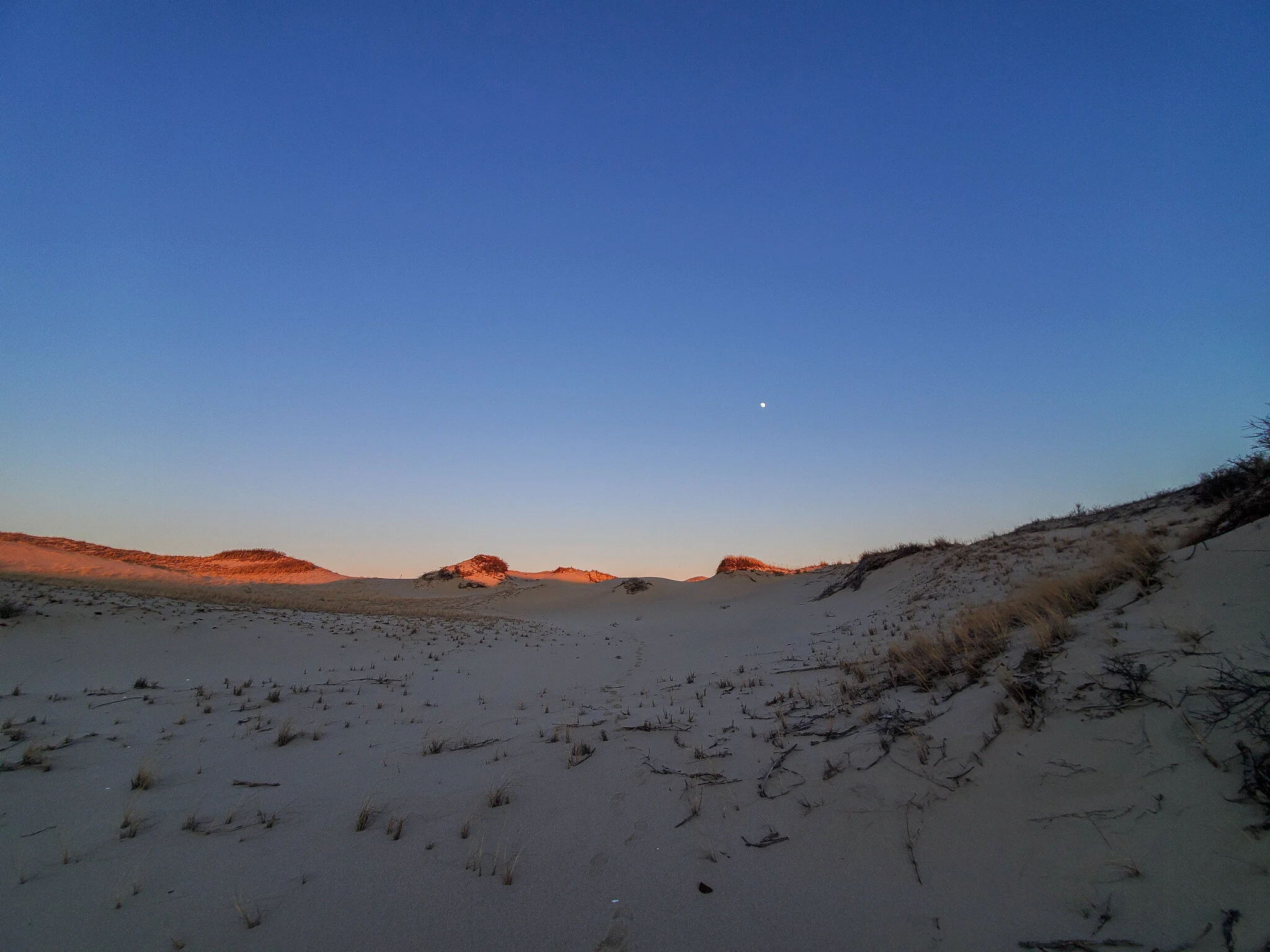 2020.12.26 cape cod-20.jpg