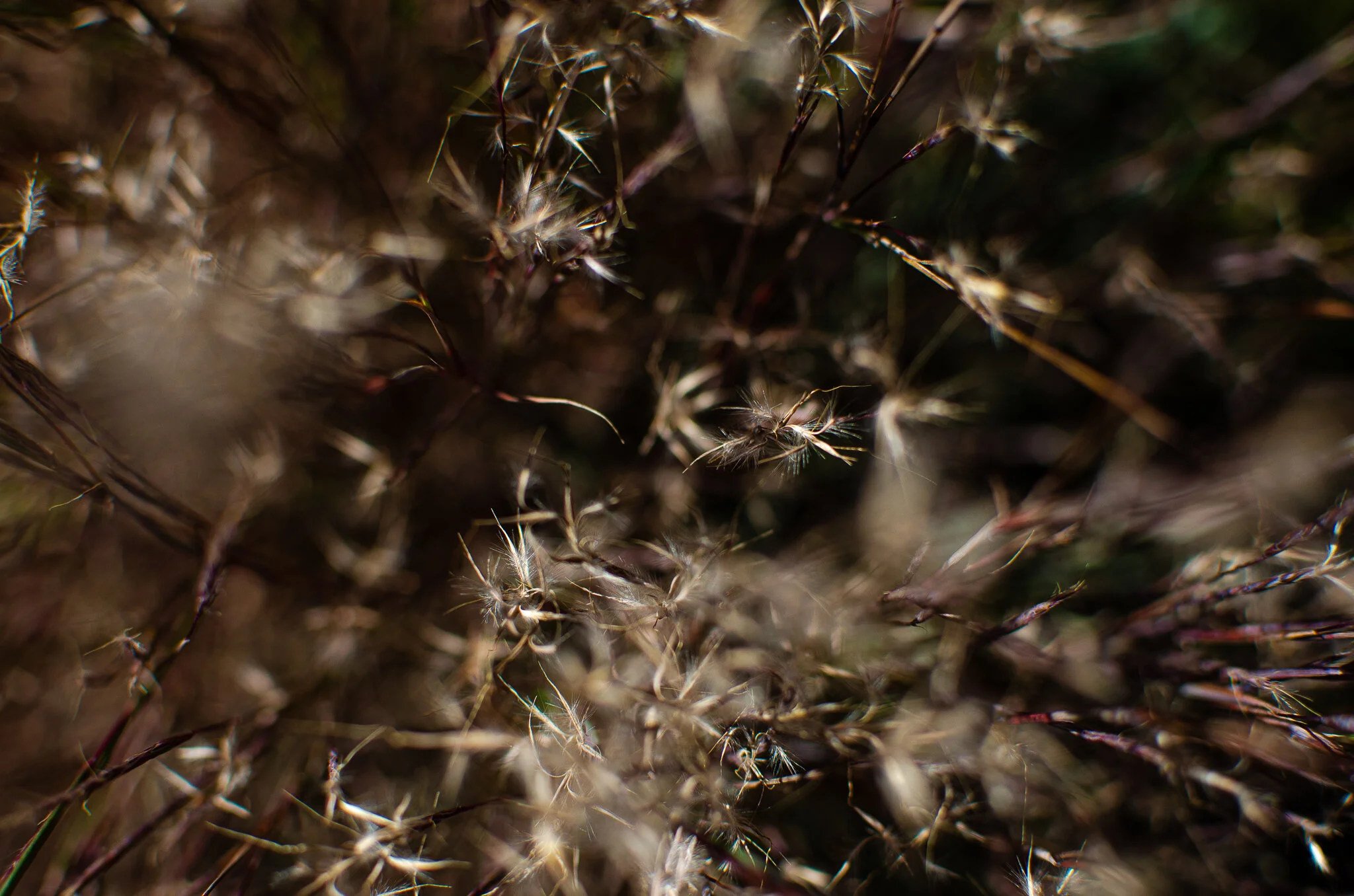 2020.10.31 untermyer -15.jpg