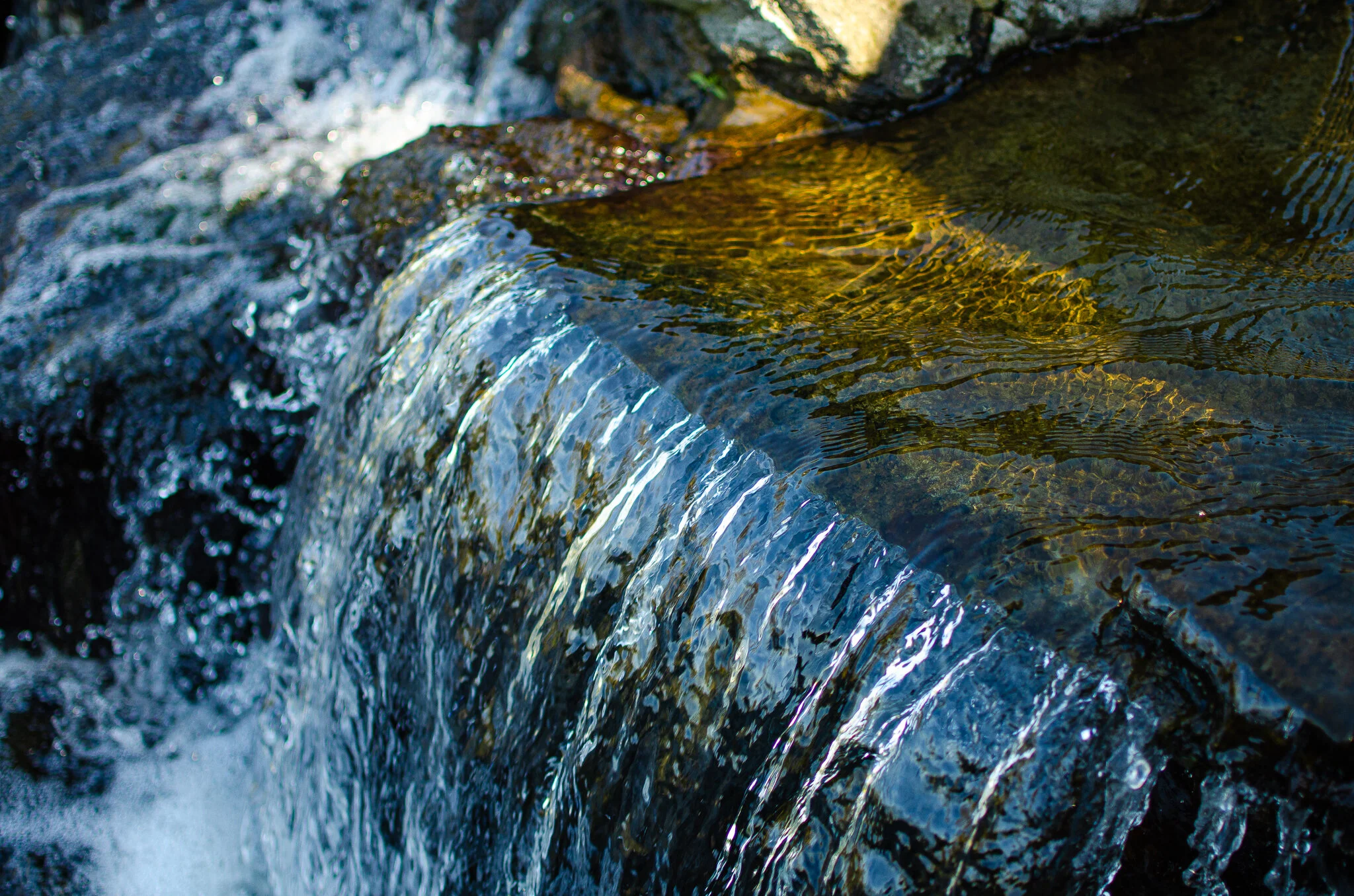 2020.10.31 untermyer -16.jpg