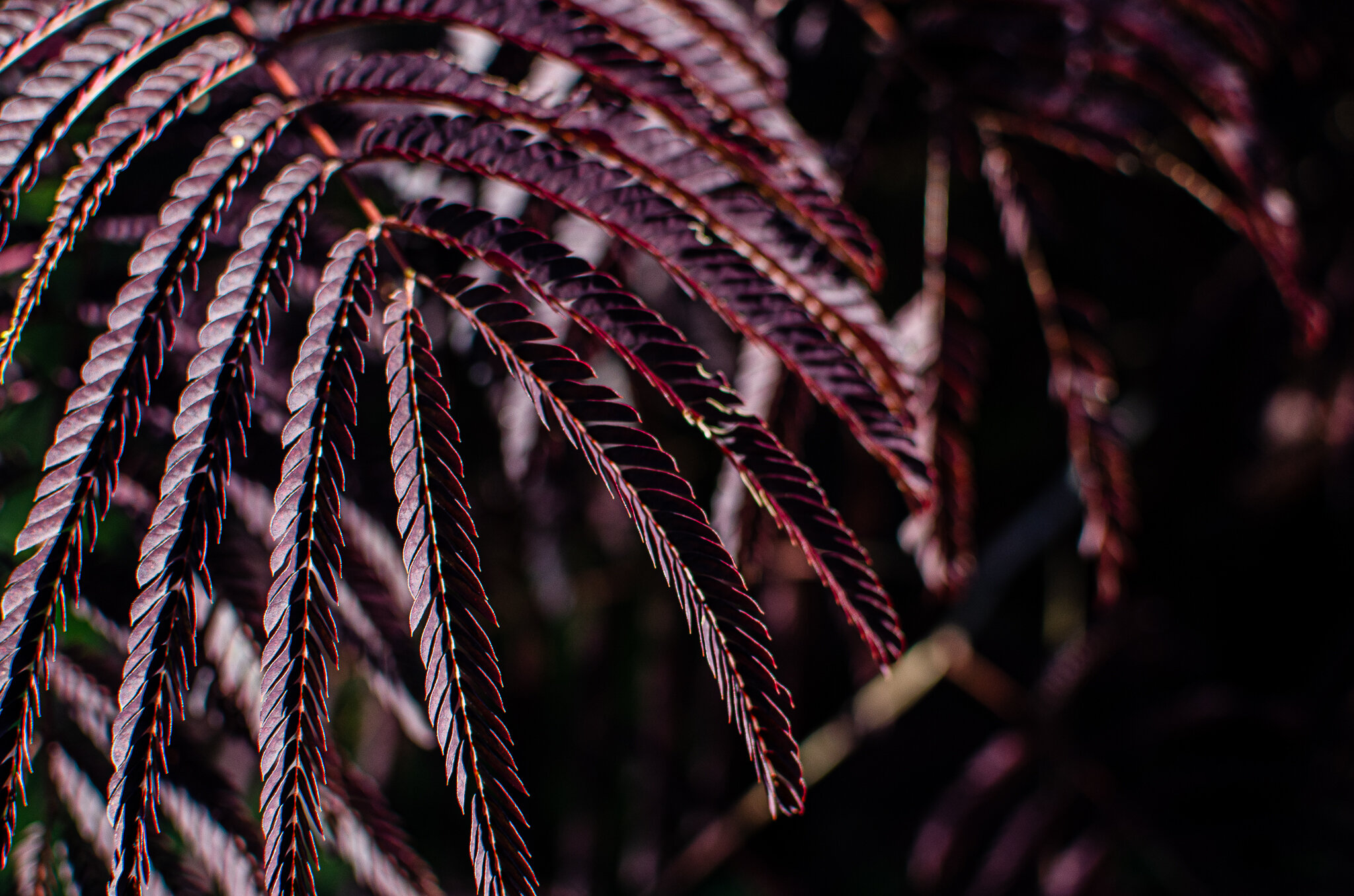 2020.10.31 untermyer -23.jpg