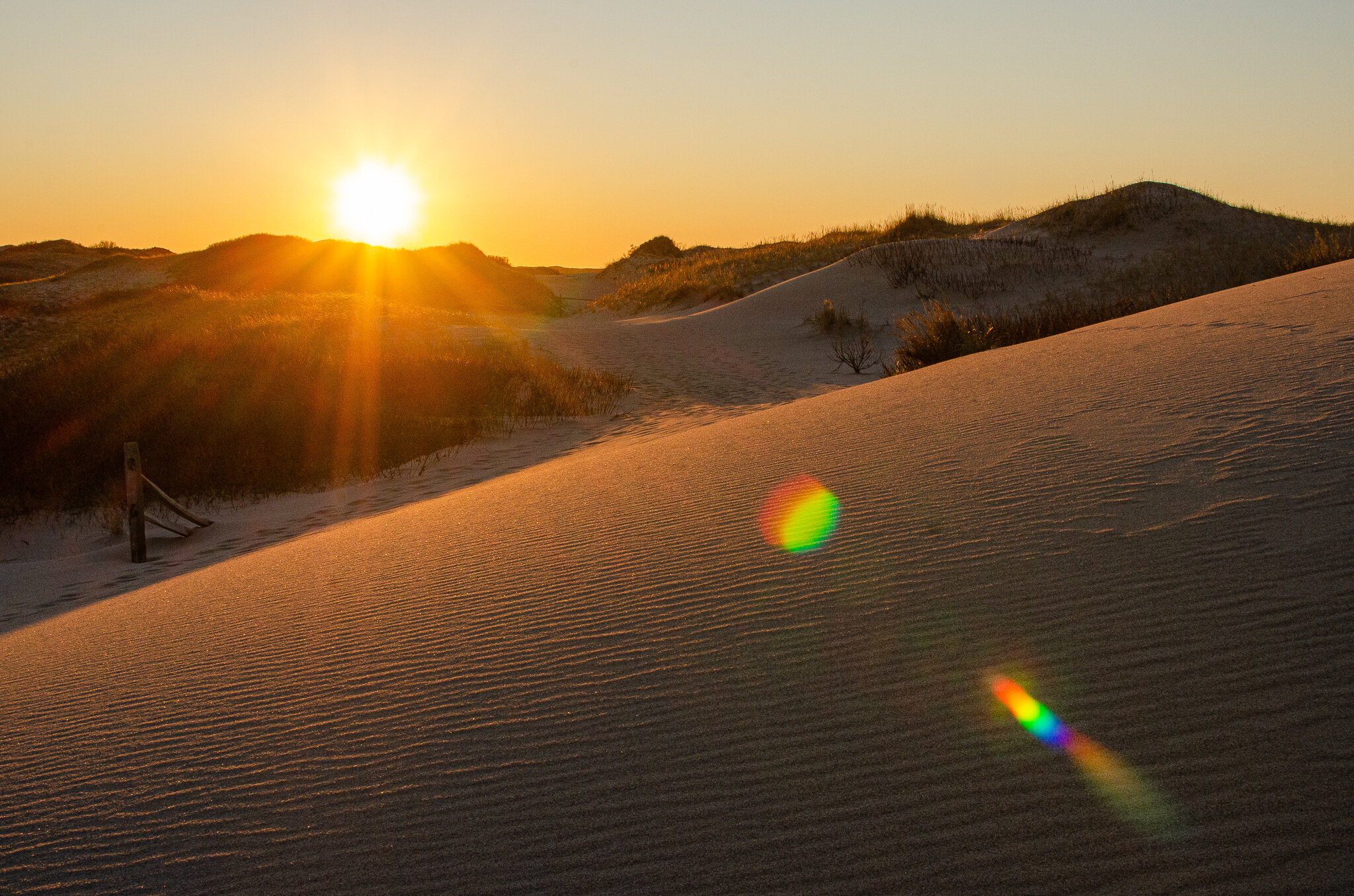 2020.12.26 cape cod-1.jpg