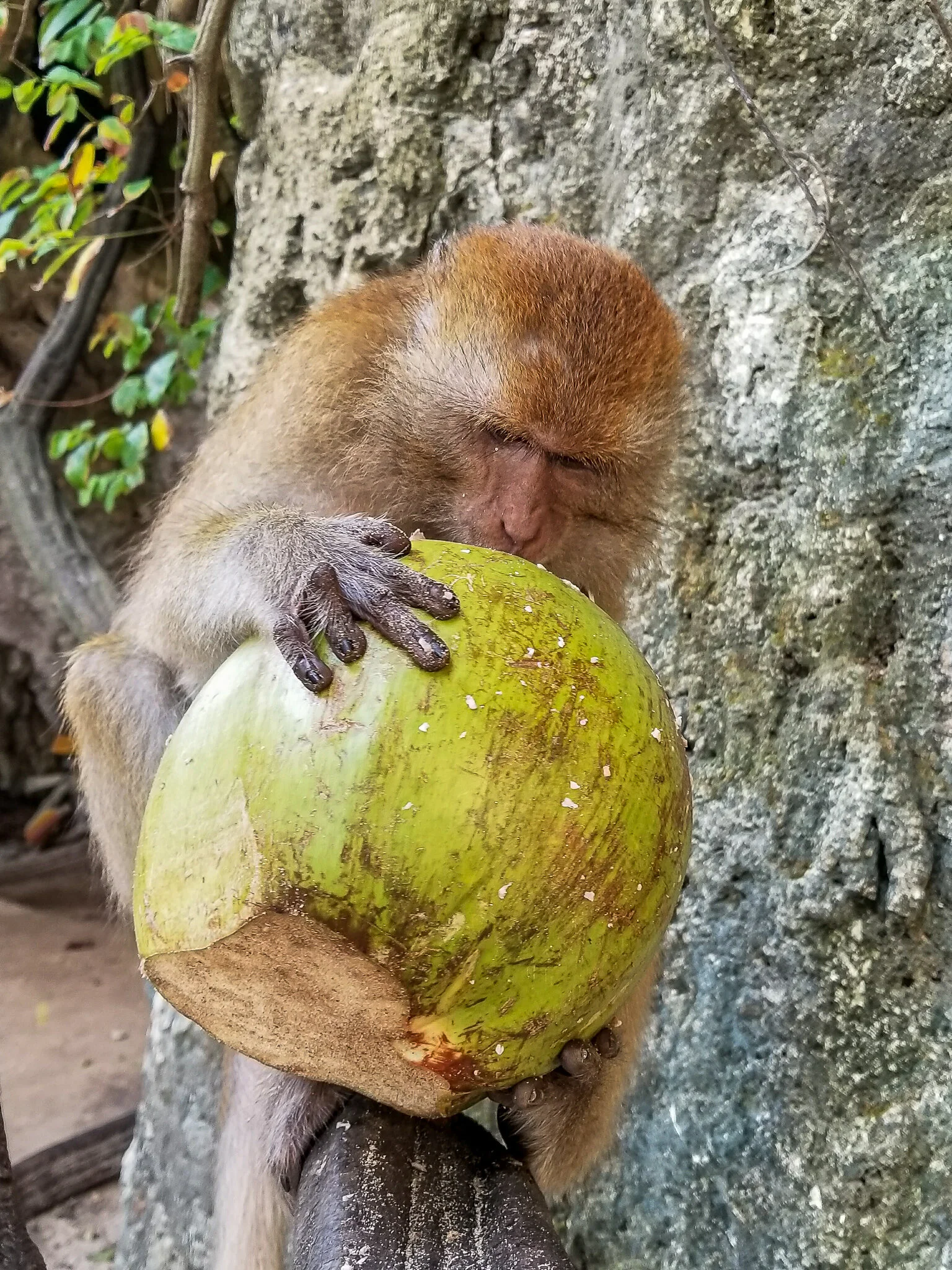 2017.08 thailand-5.jpg