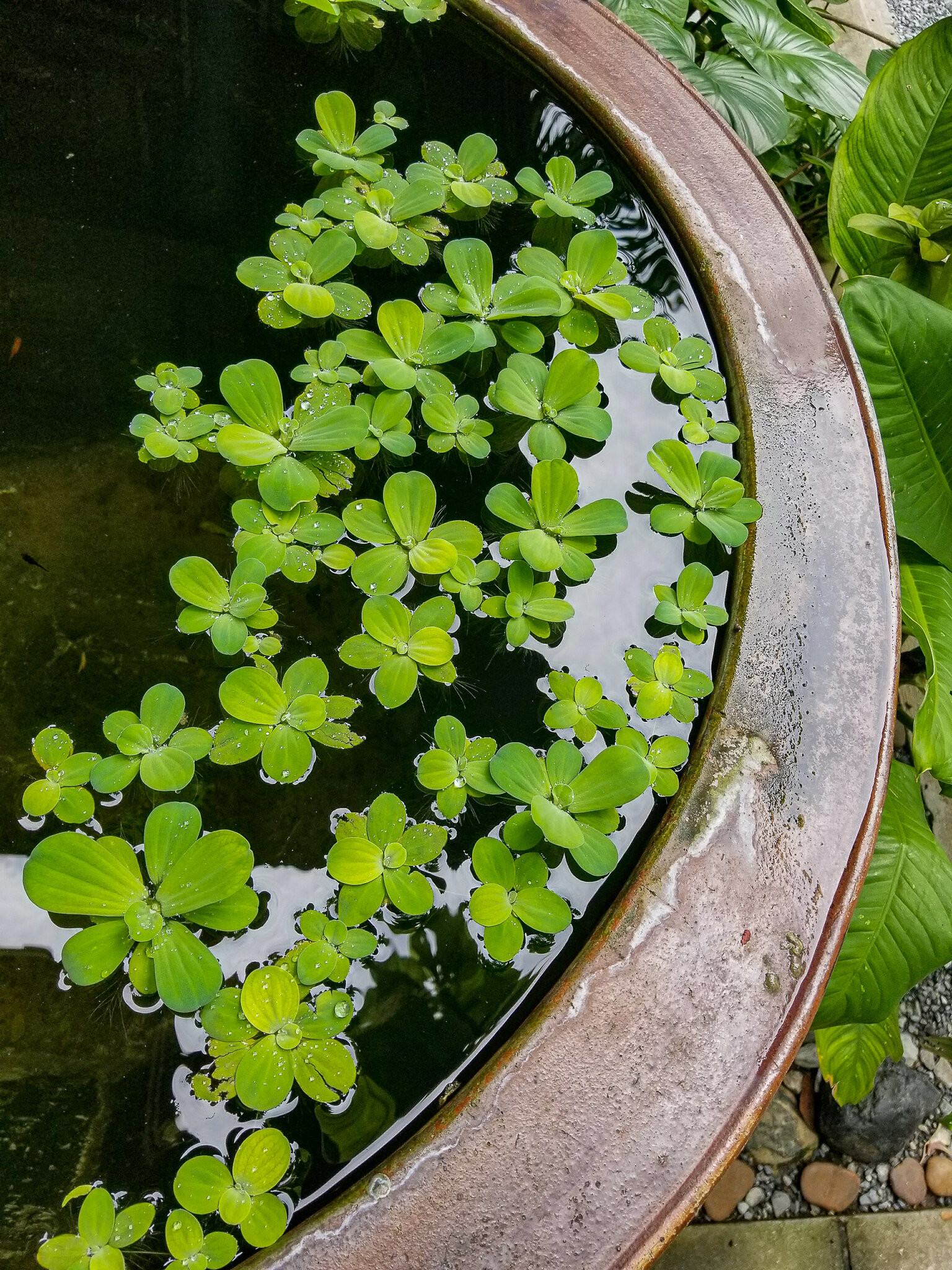 2017.08 thailand-21.jpg