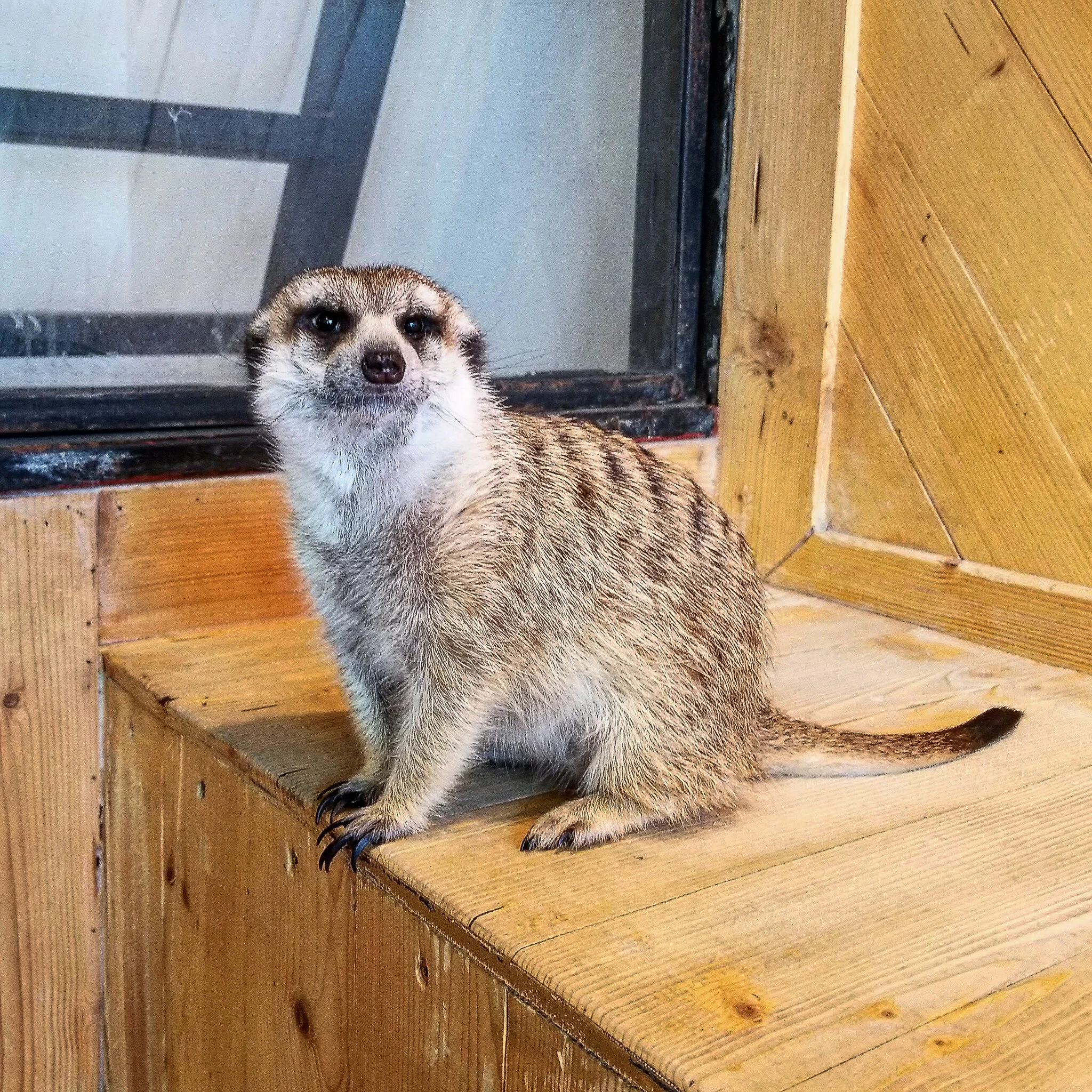 2017.08 thailand.jpg