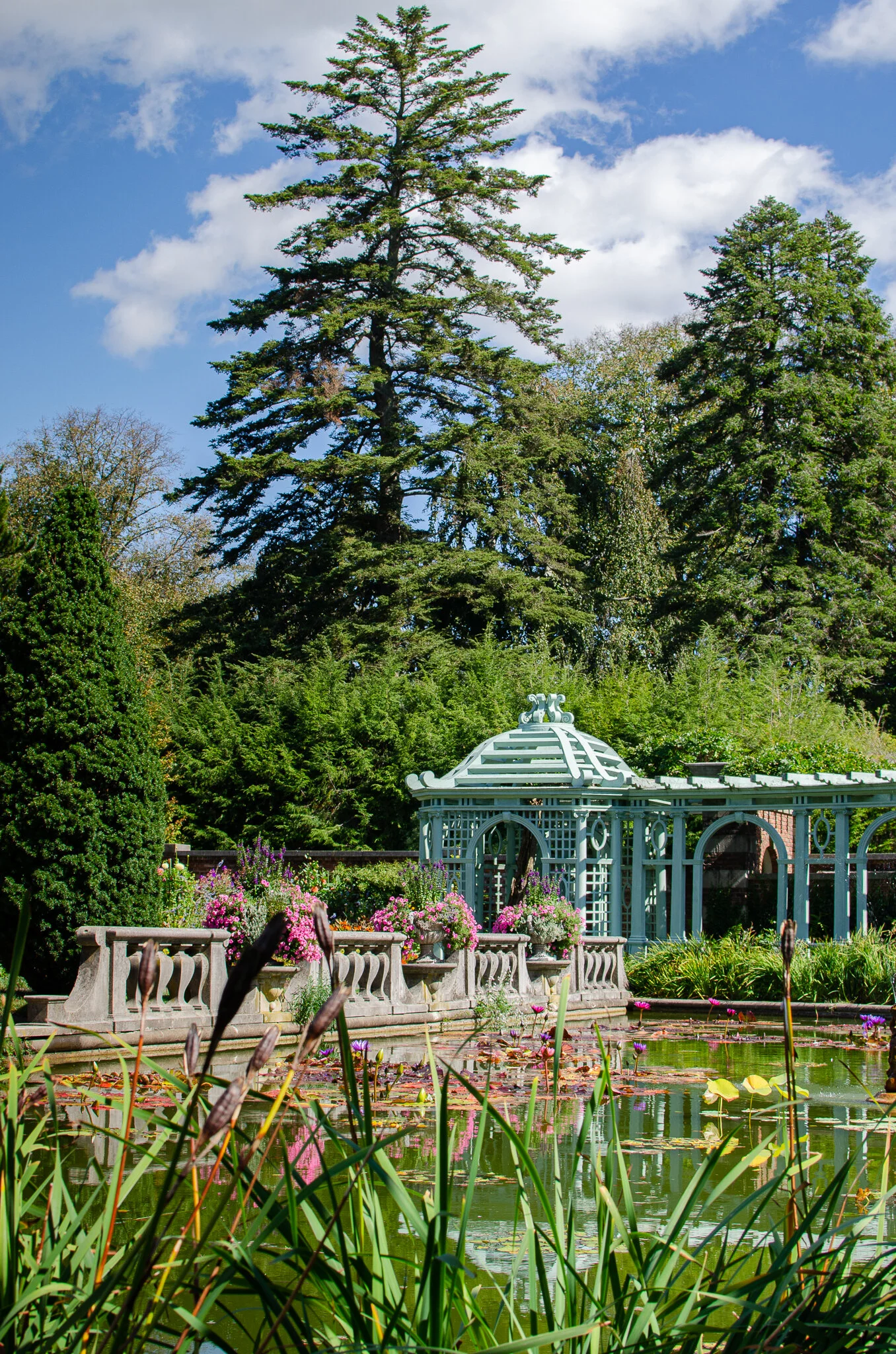 2020.09.30 westbury-3.jpg