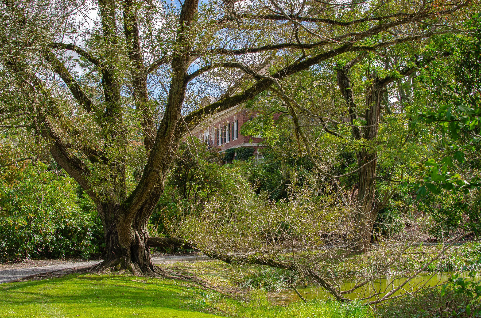 2020.09.30 westbury-4.jpg