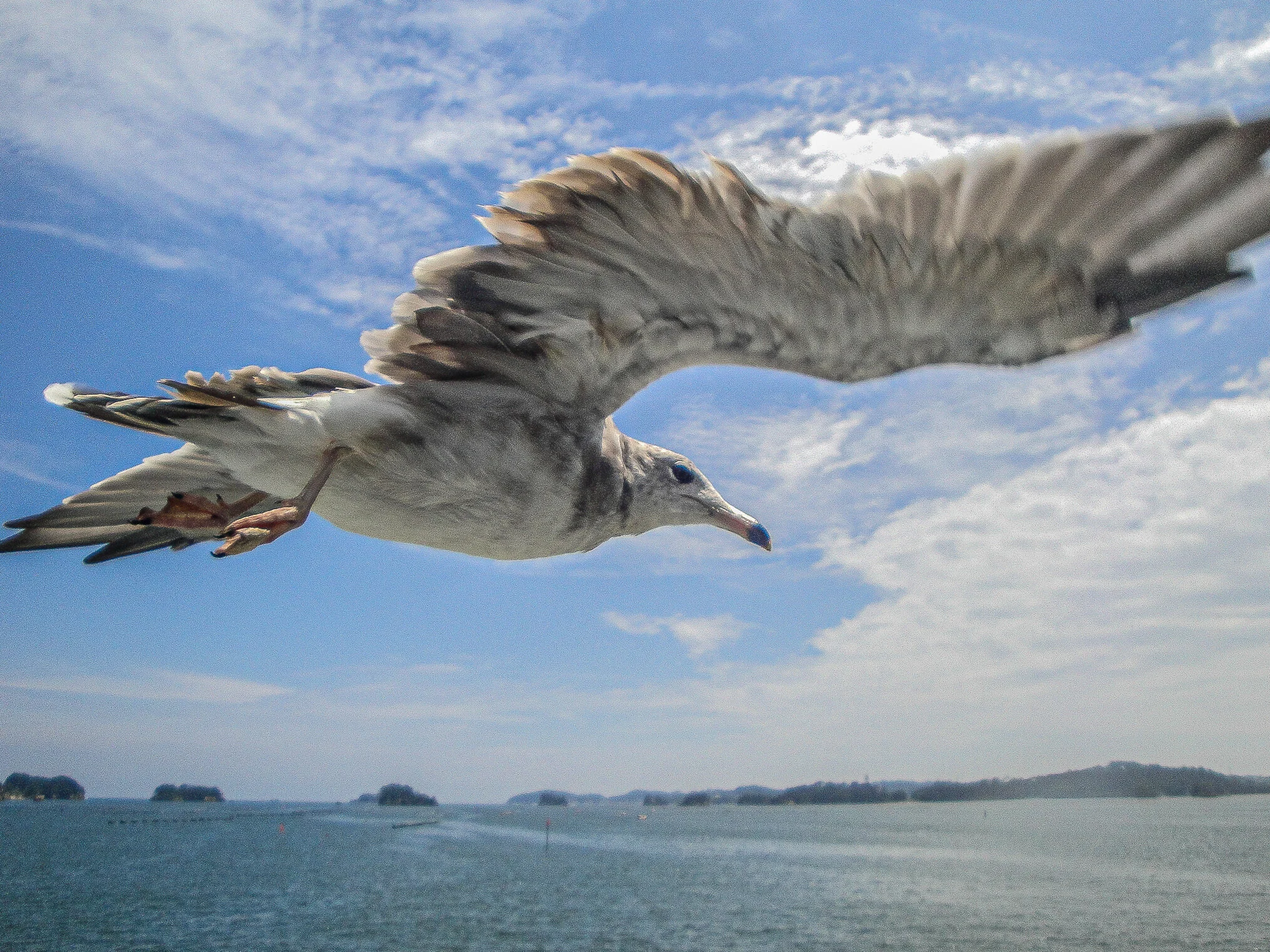 2020.09.30 westbury-5.jpg