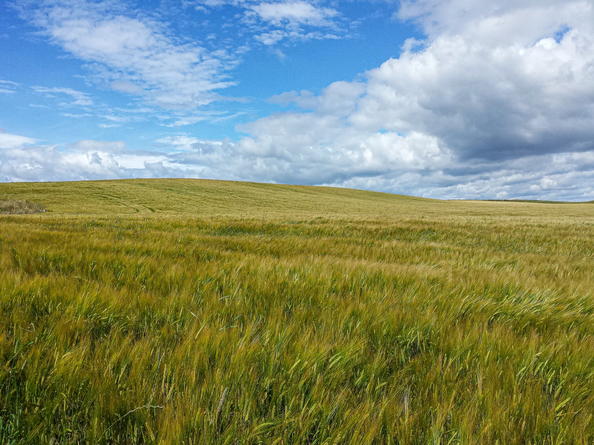 2016.08 scotland-11.jpg