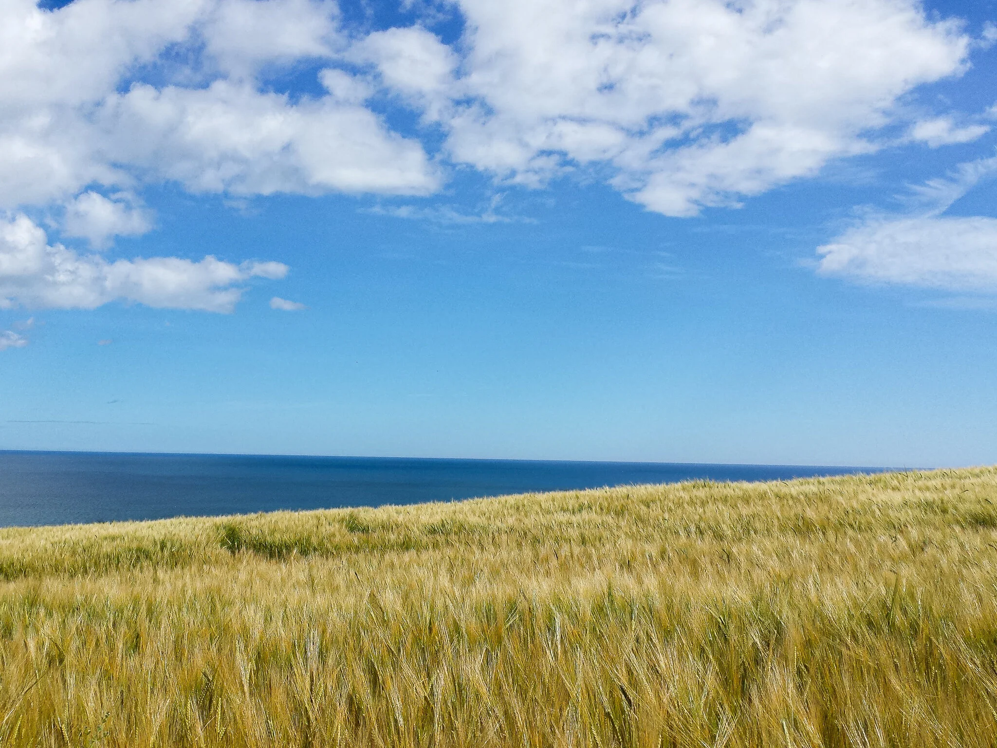 2016.08 scotland-14.jpg