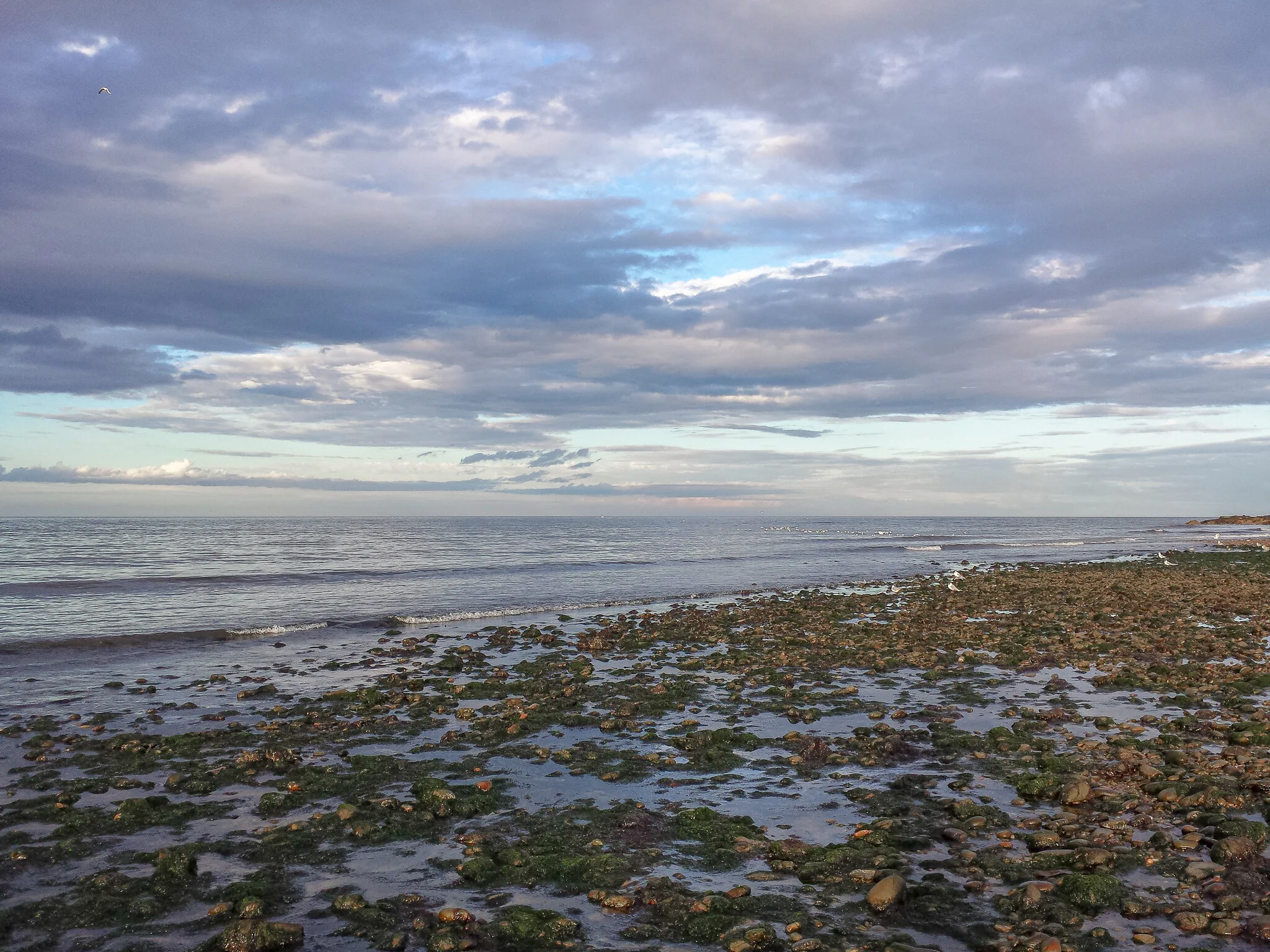 2016.08 scotland-19.jpg