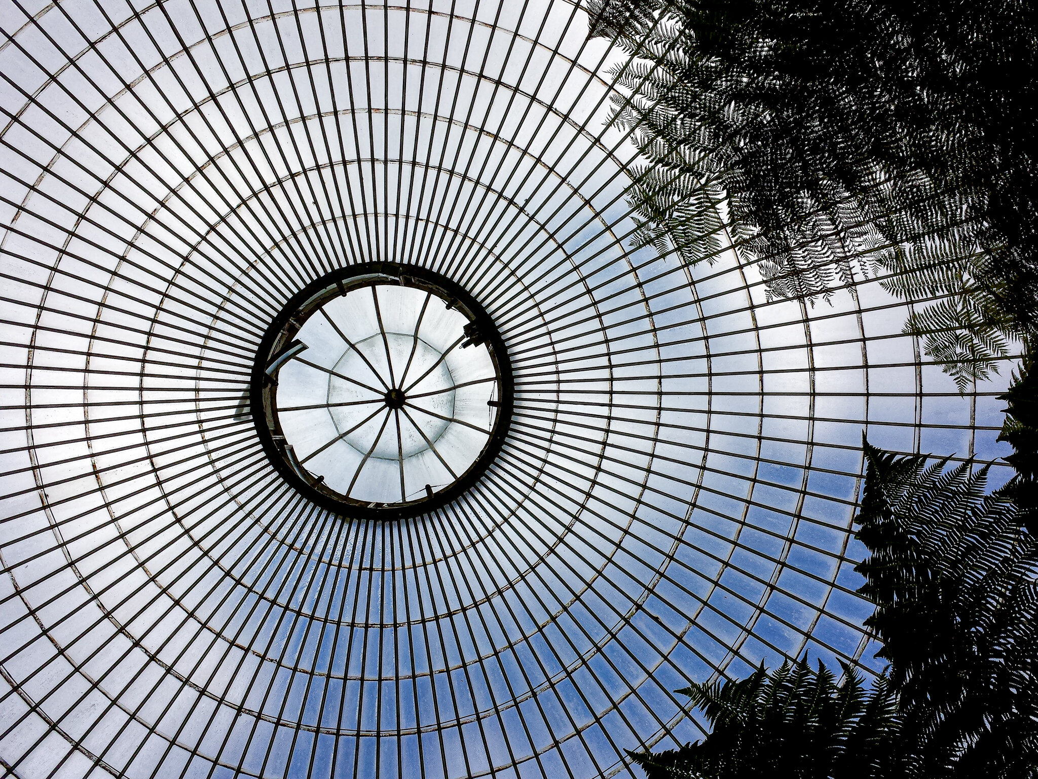 2016.08 scotland-35.jpg