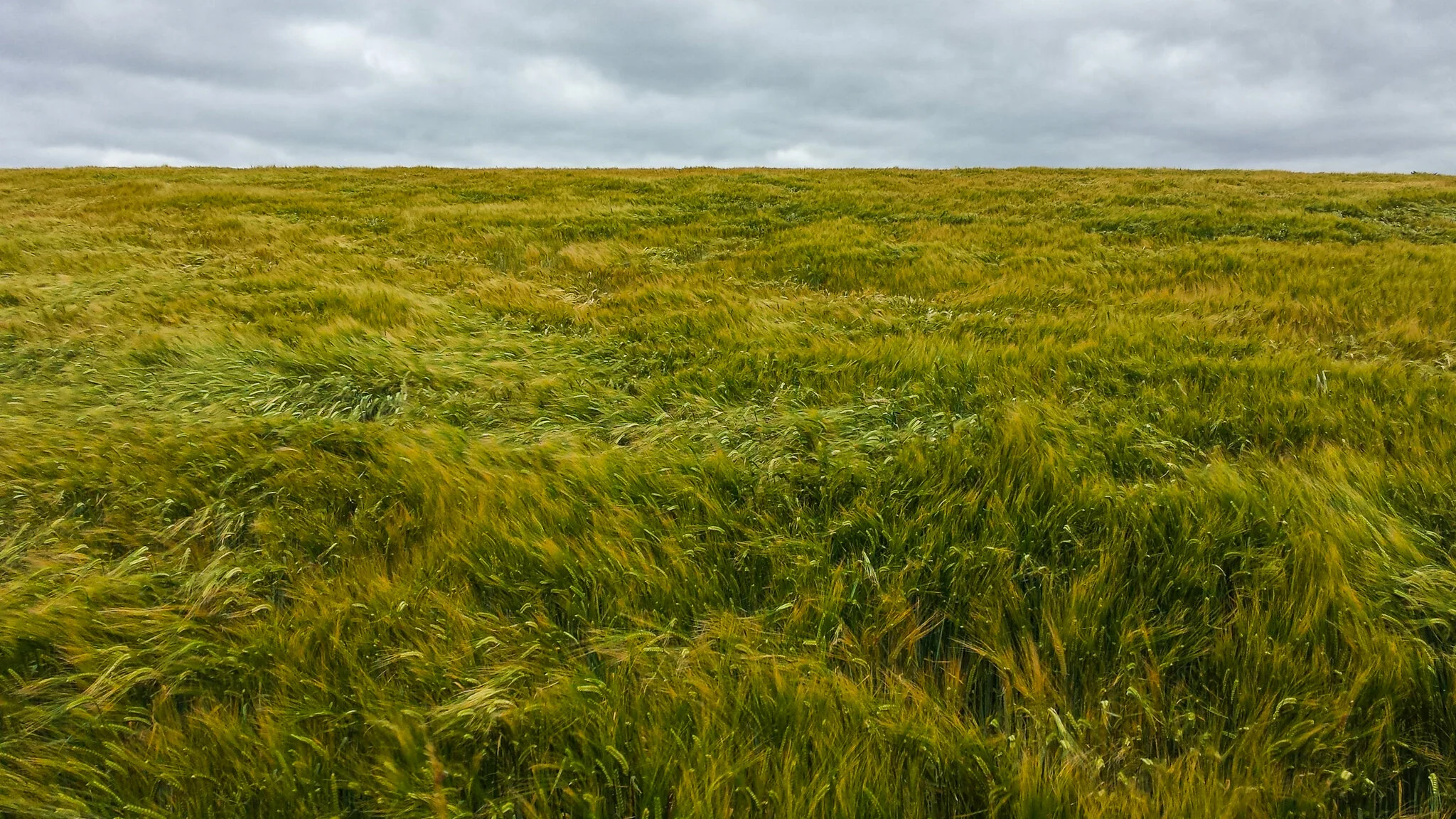 2016.08 scotland-5.jpg