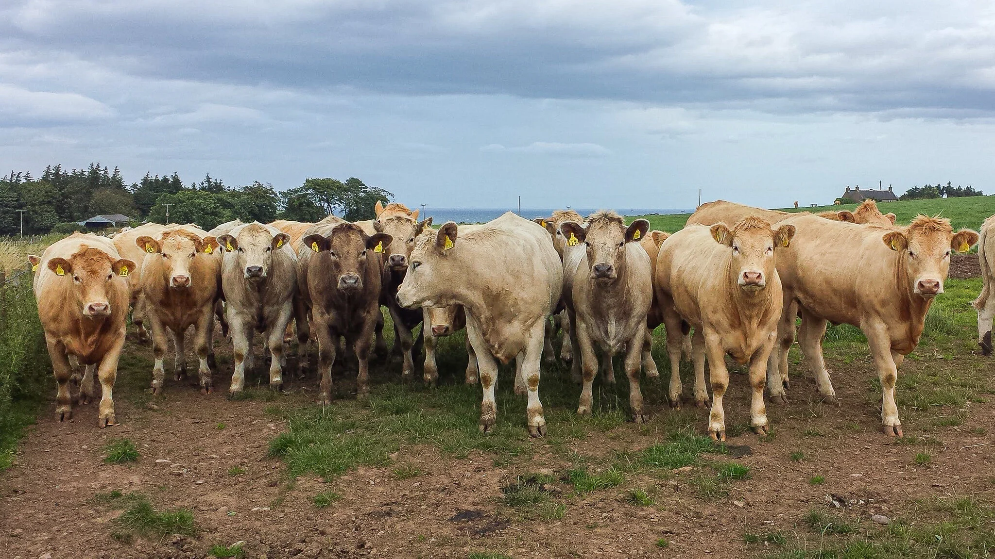 2016.08 scotland-8.jpg