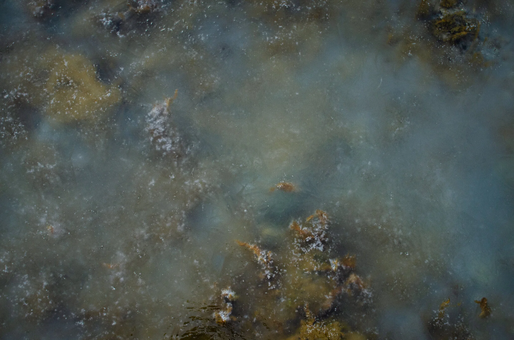 2020.12.30 cape cod-6.jpg