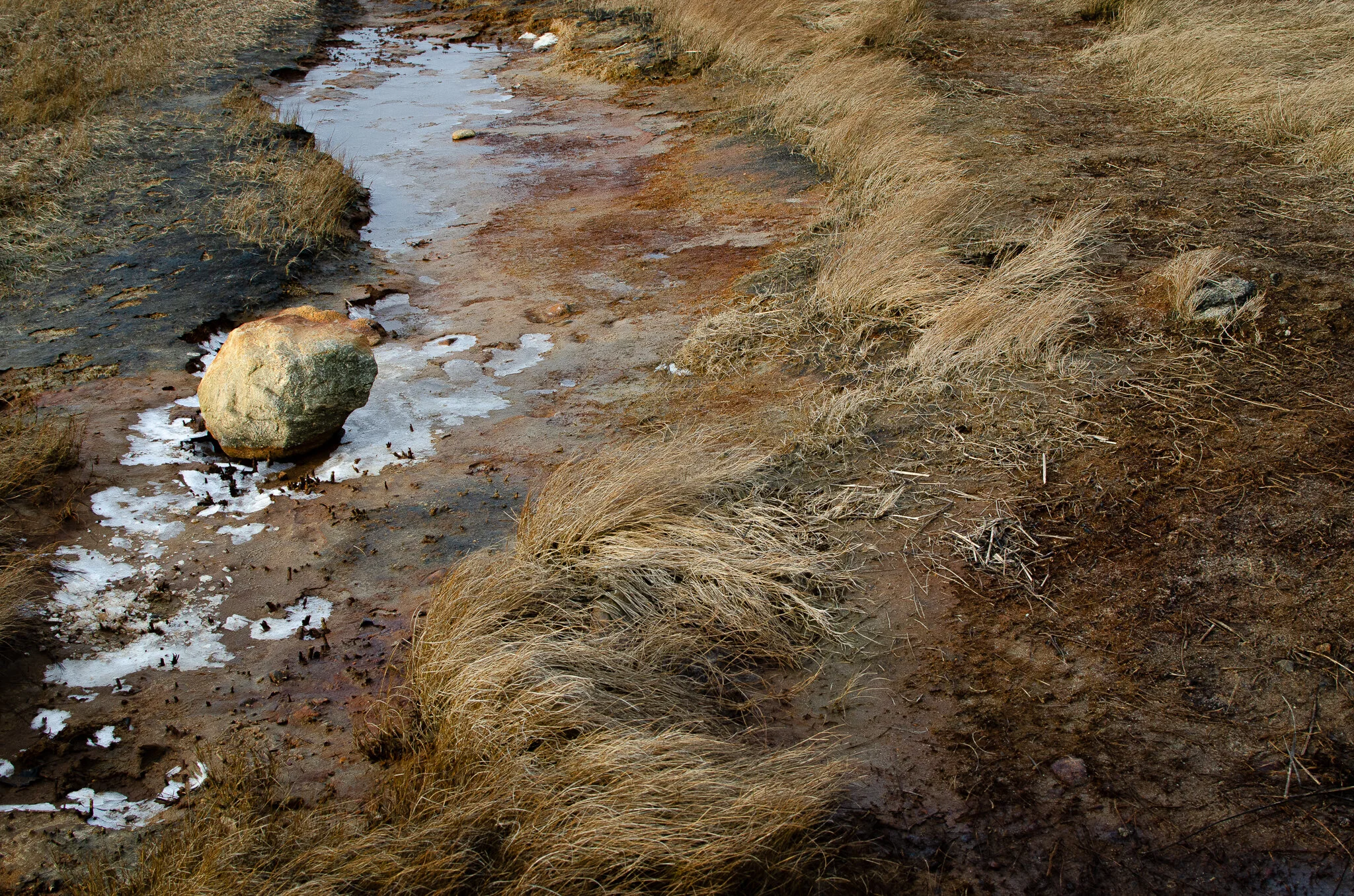 2020.12.30 cape cod-4.jpg