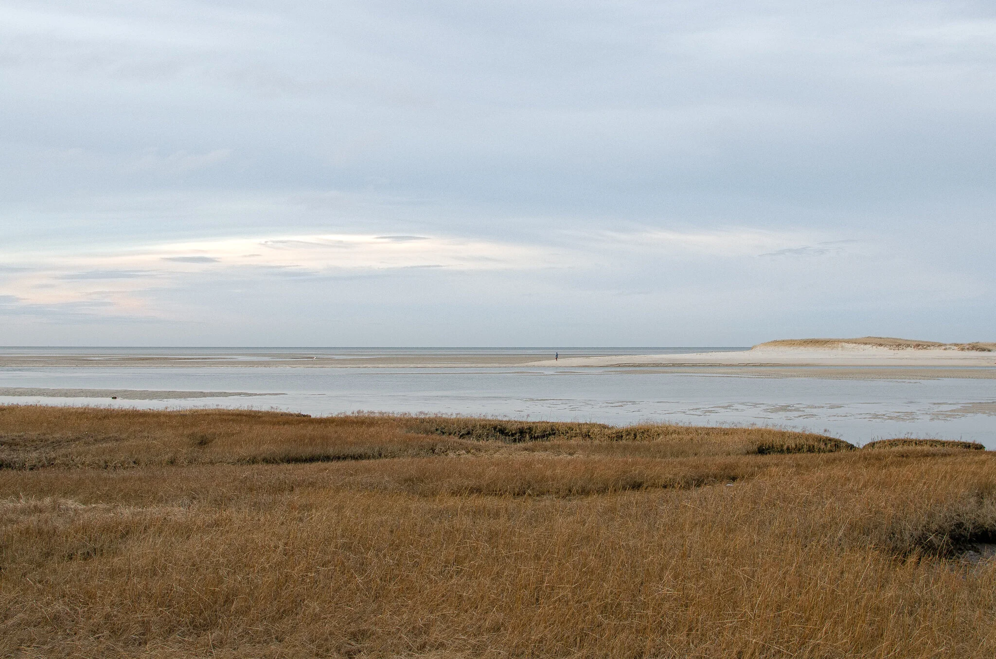 2020.12.30 cape cod-13.jpg