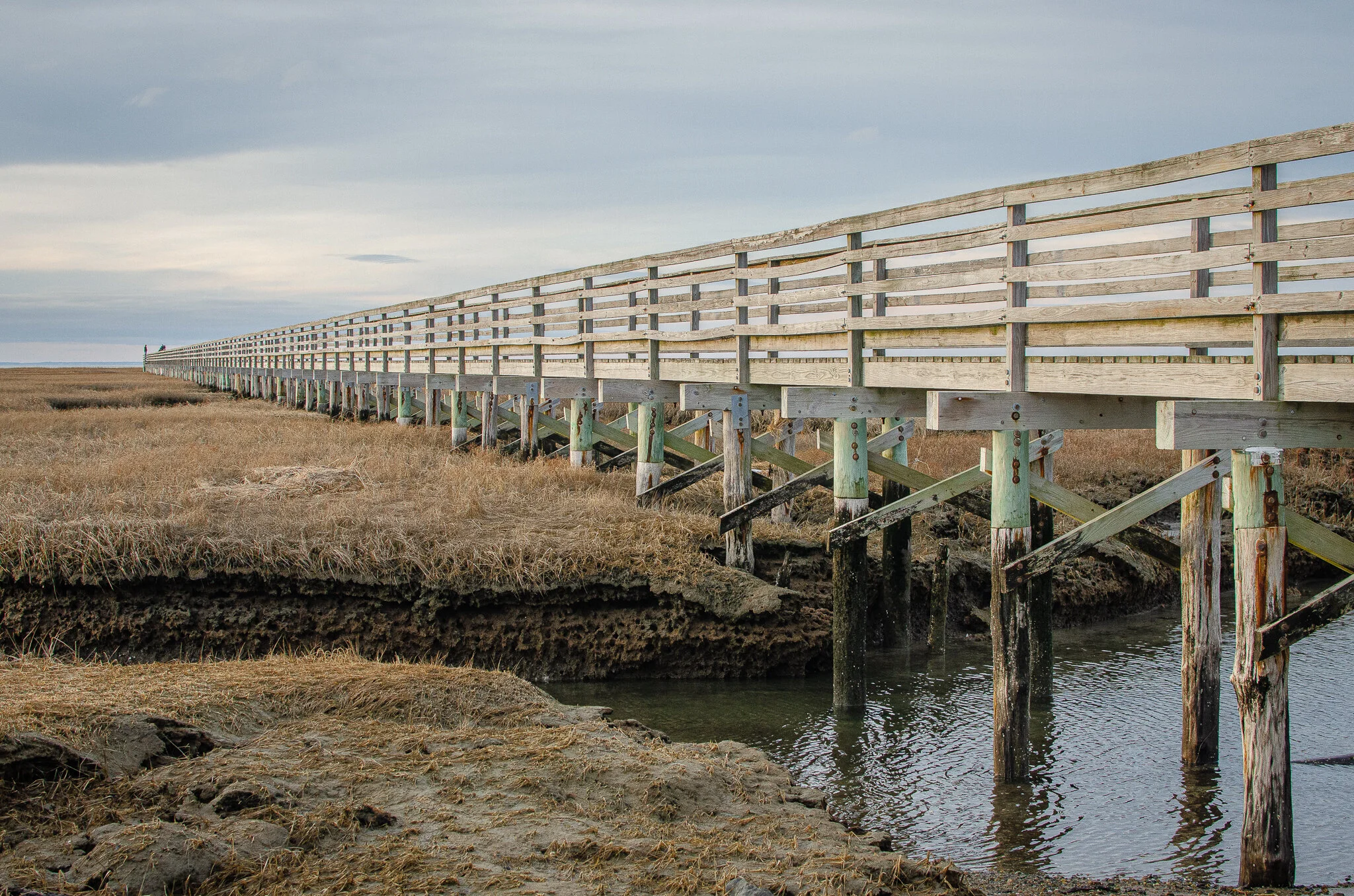 2020.12.30 cape cod-11.jpg