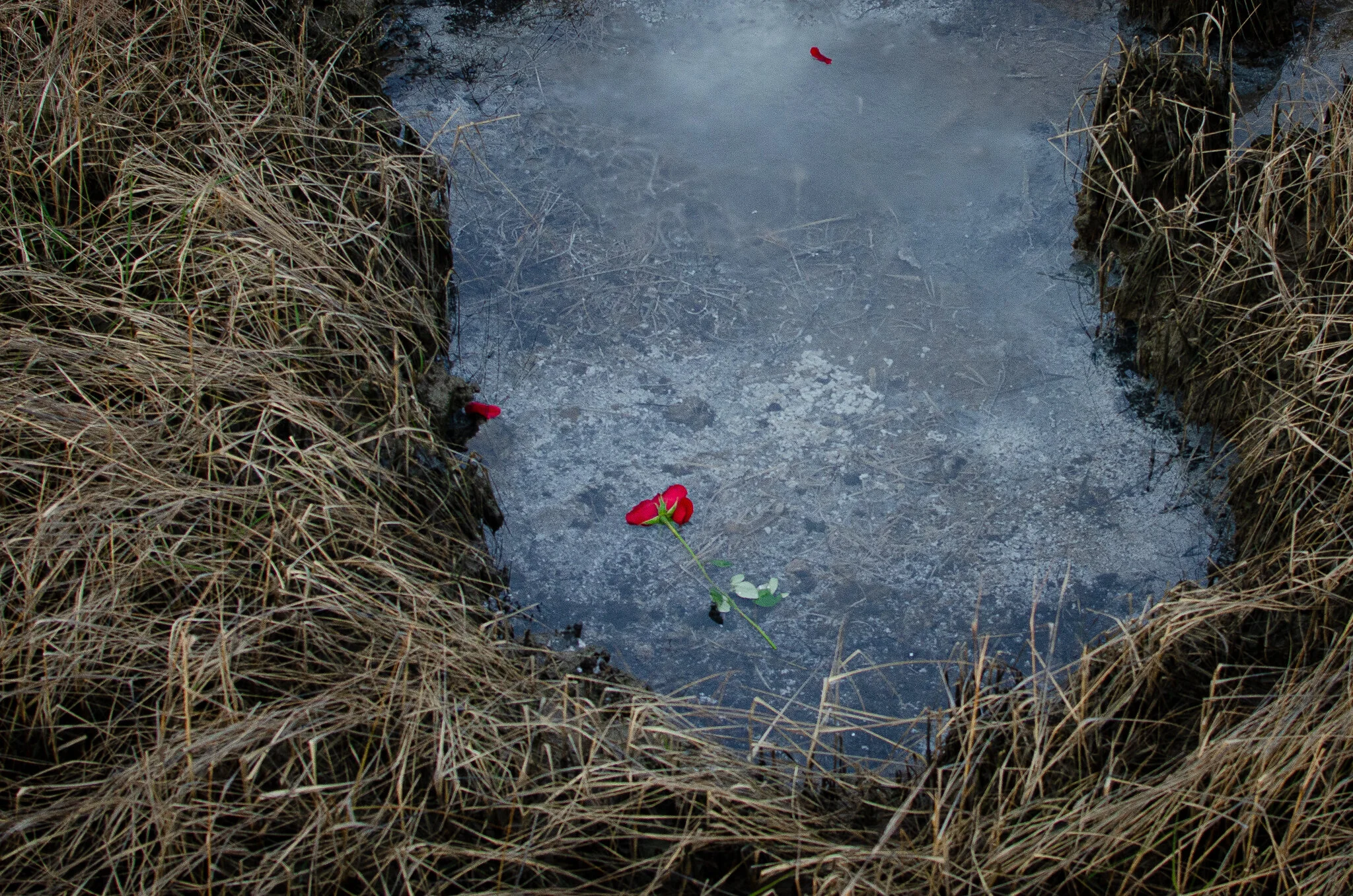 2020.12.30 cape cod-14.jpg