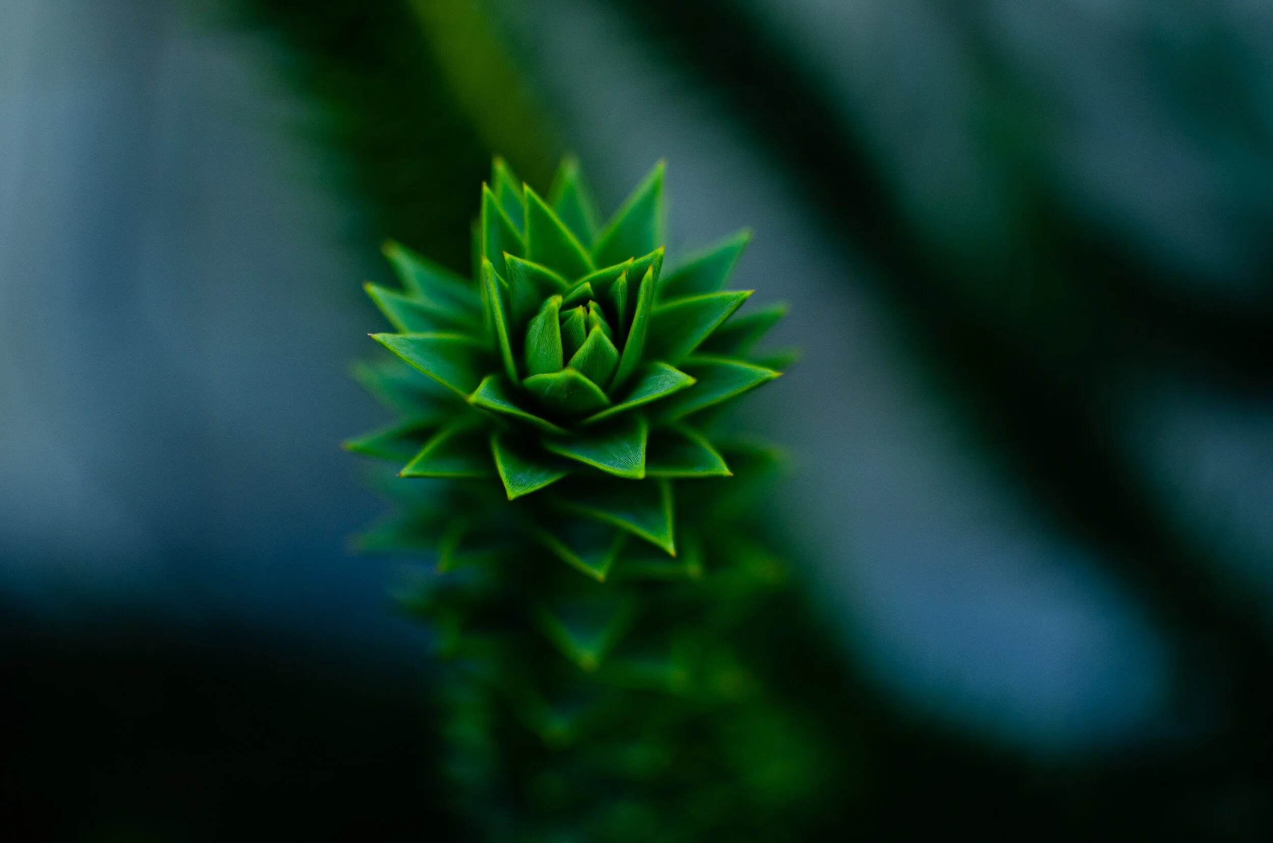 2020.10.31 untermyer-11.jpg