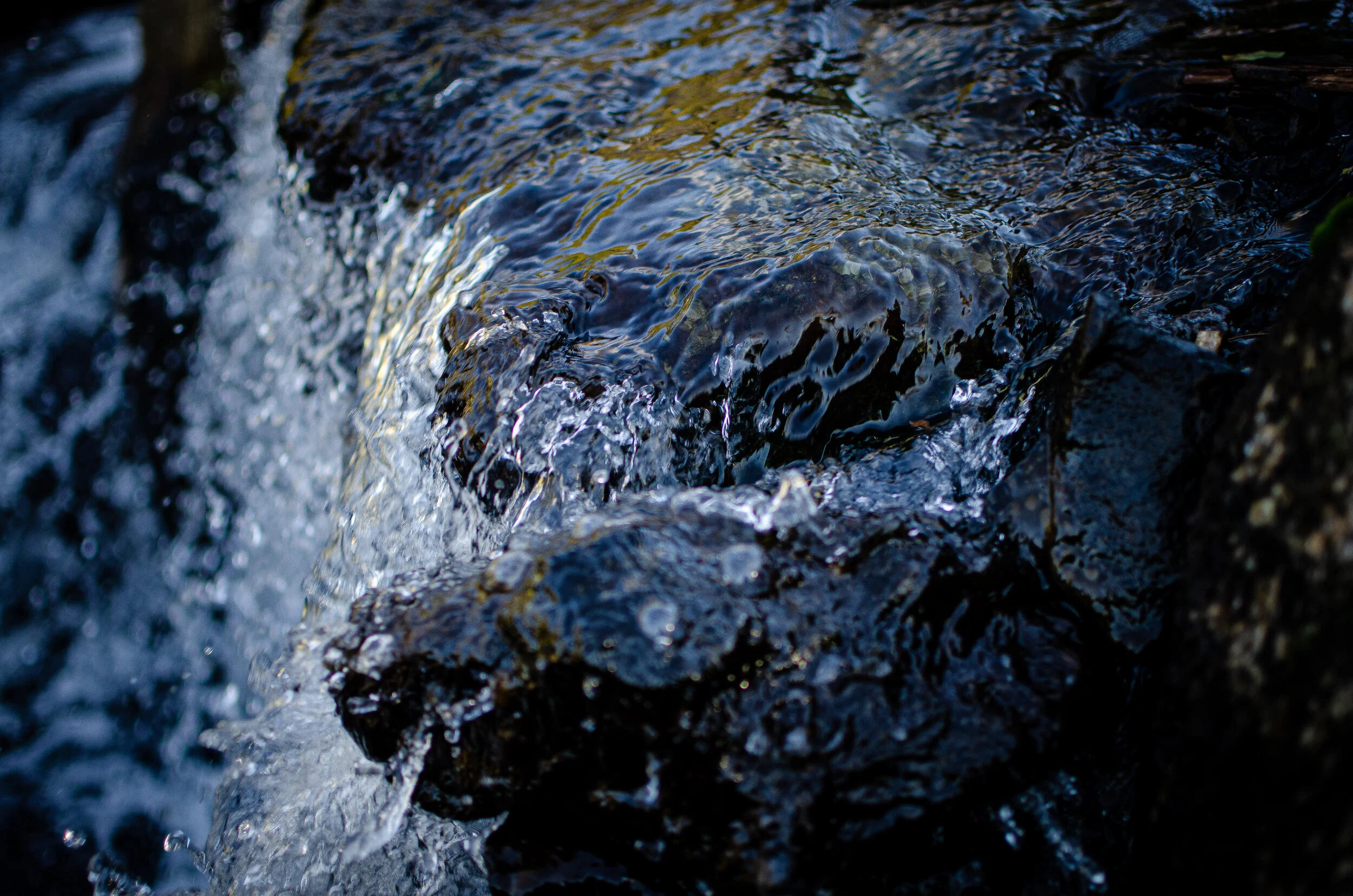 2020.10.31 untermyer-5.jpg