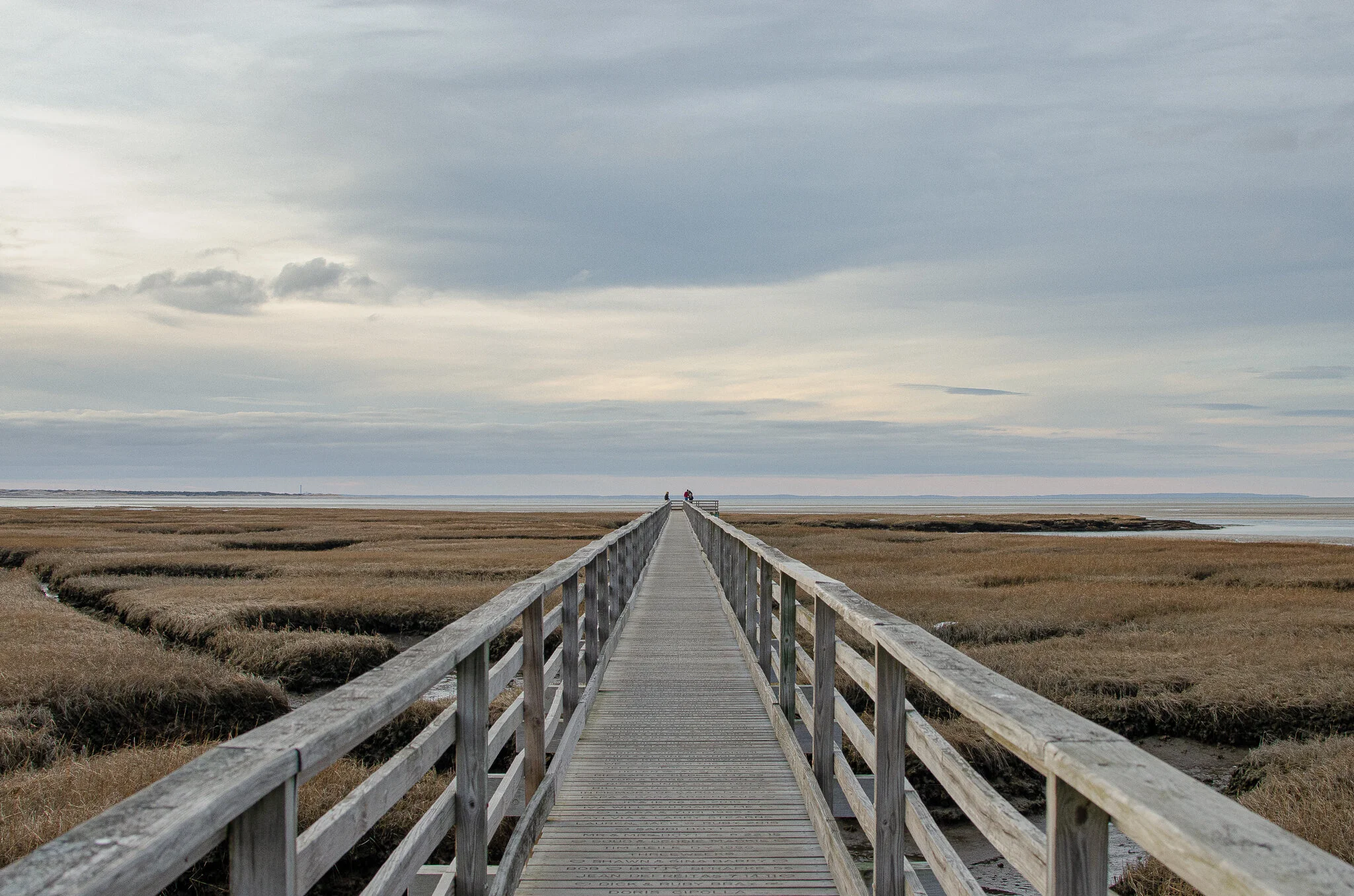 2020.12.30 cape cod-12.jpg