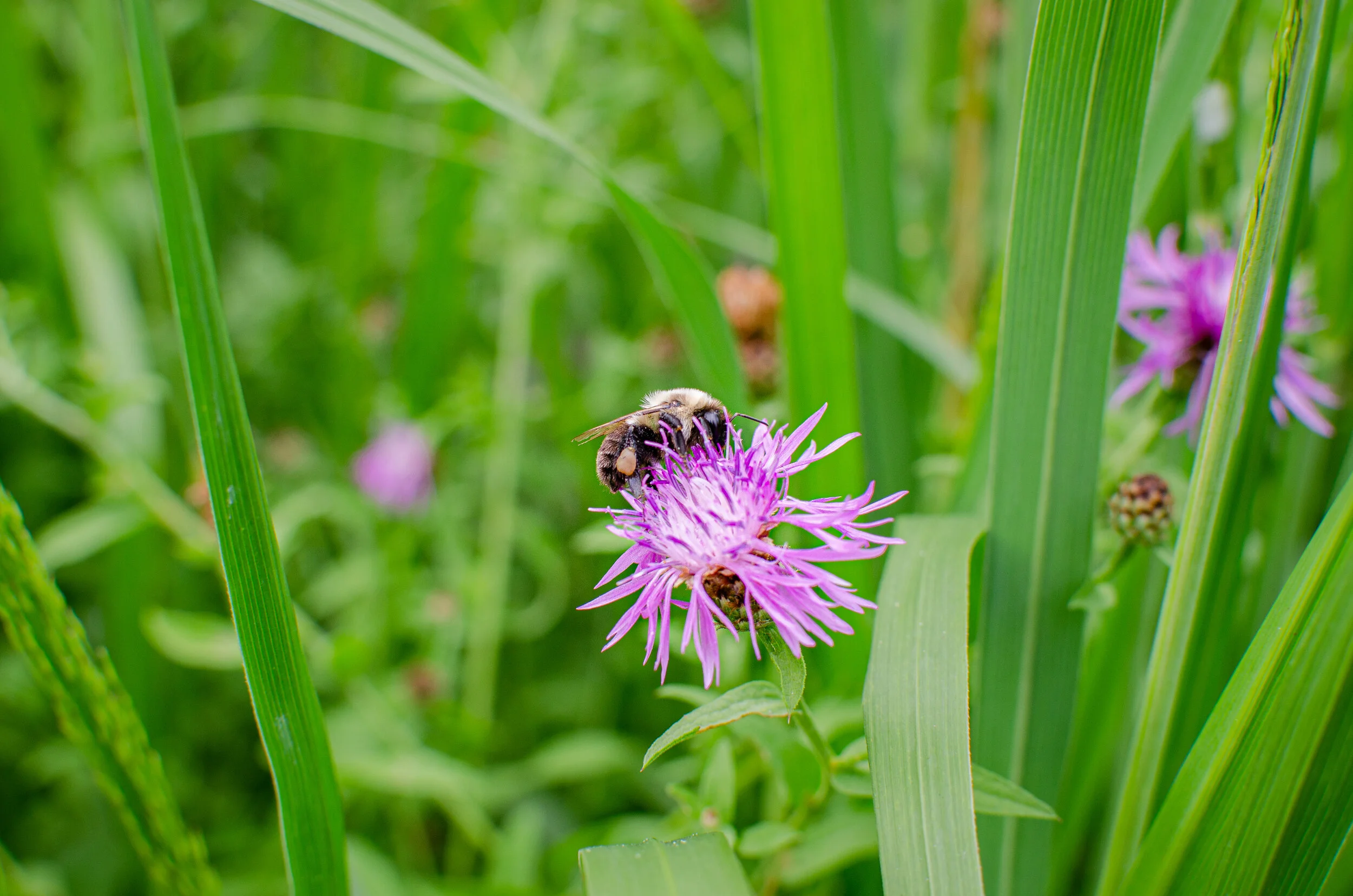 21.07.24 storm king-9.jpg