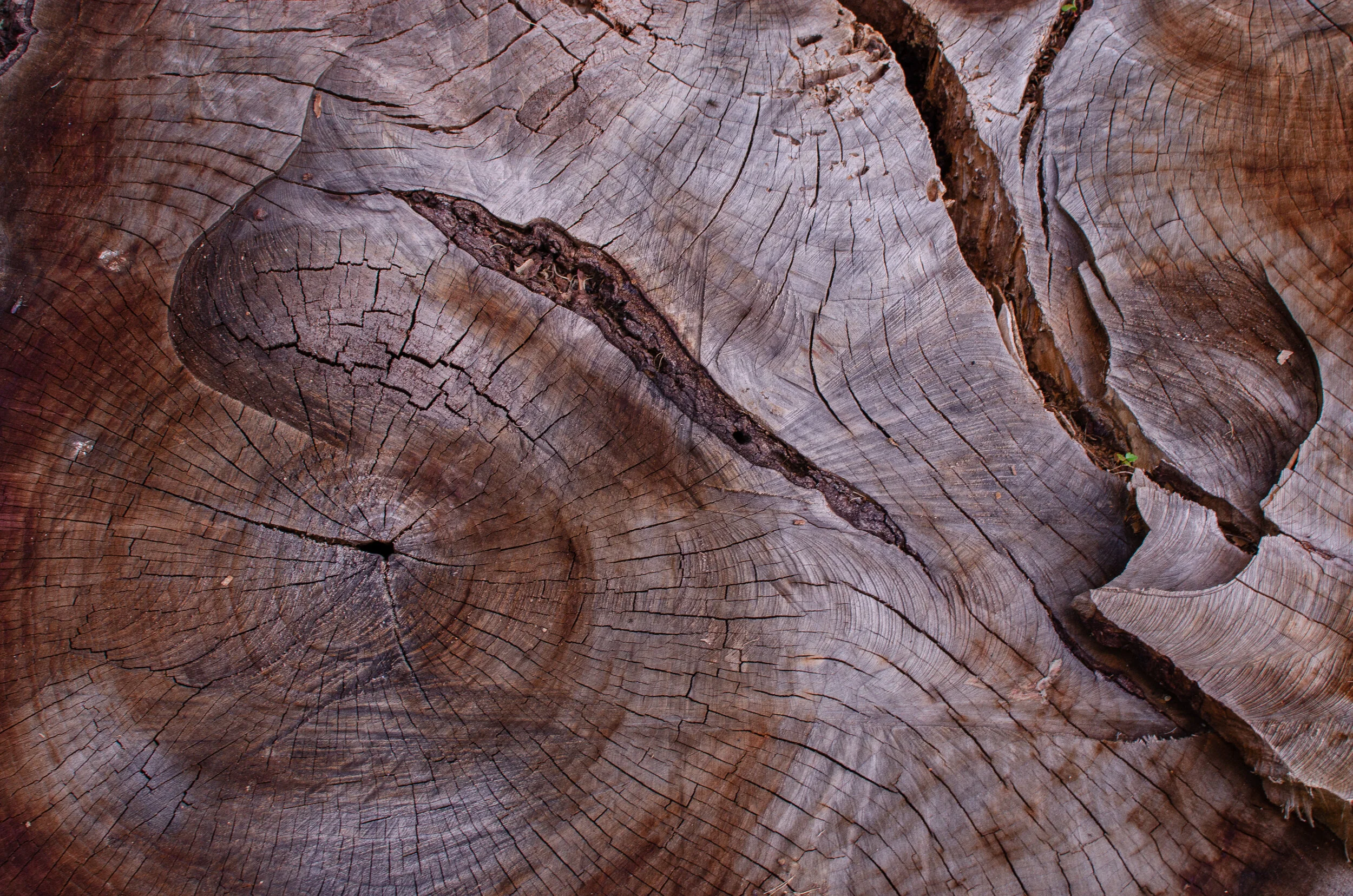 21.07.24 storm king-7.jpg