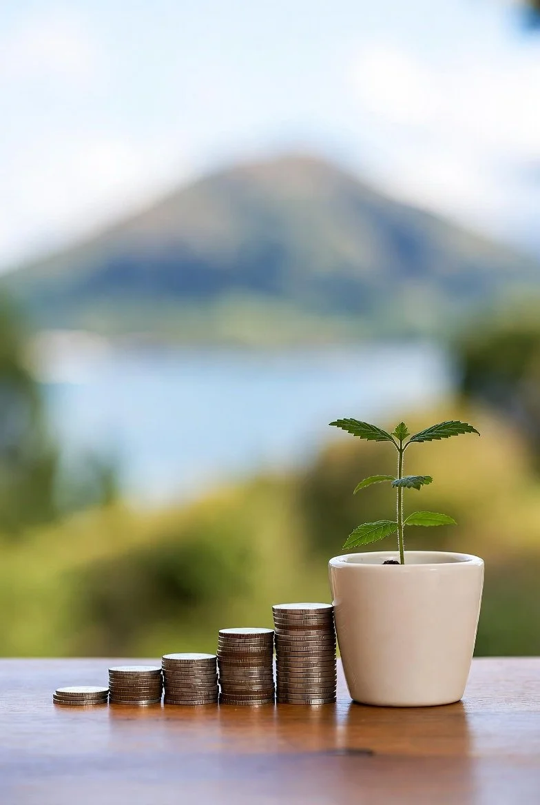 Fixing New Zealand's Retirement Crisis: Strengthen KiwiSaver with These 3 Policy Changes