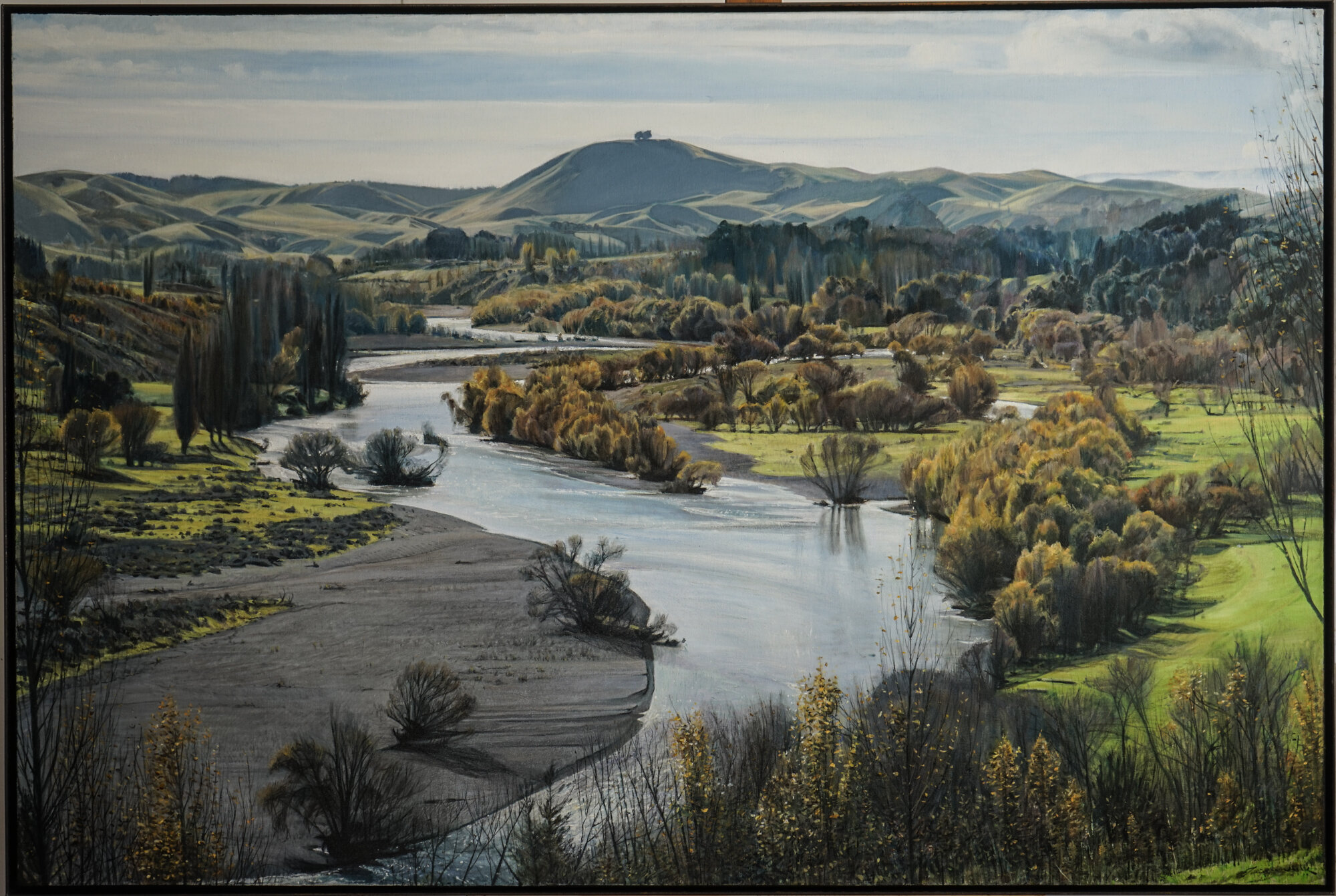 Poplars Tukituki 2019 137x92cm oil on canvas