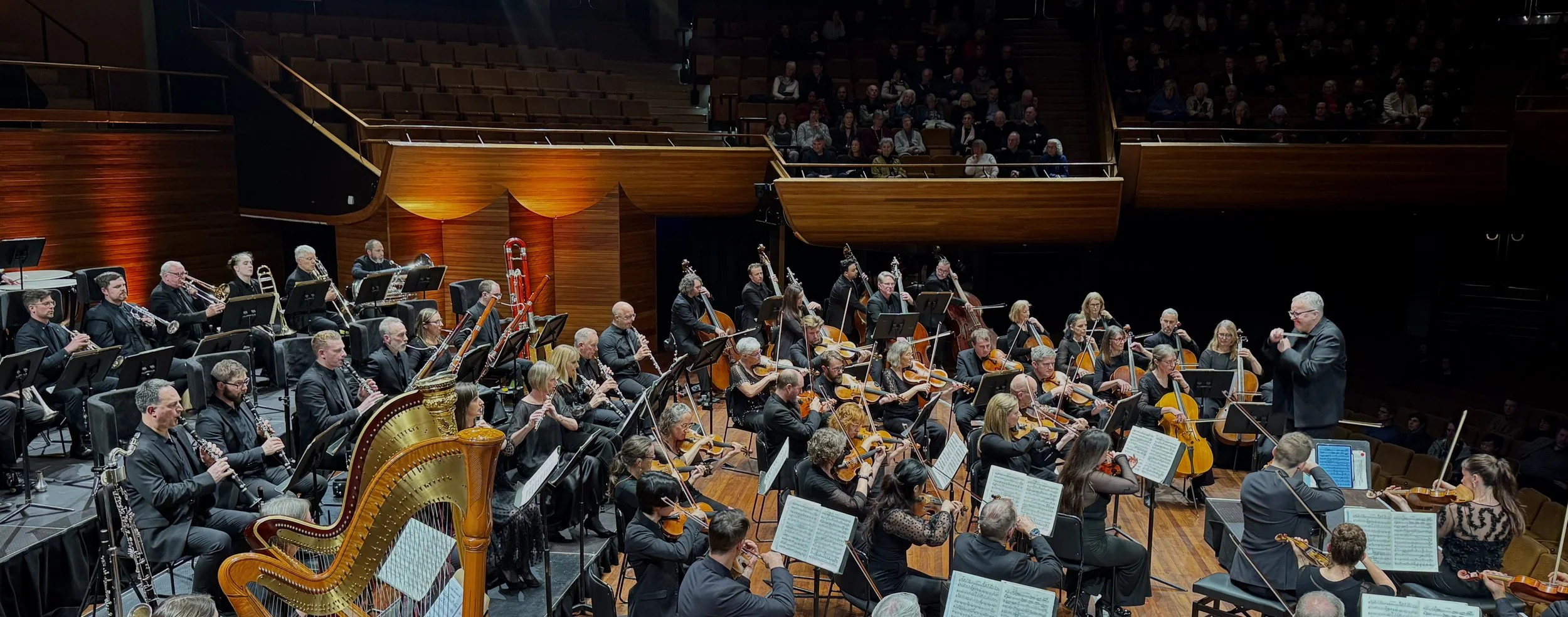 Orchestra Wellington and some thoughts on virtuosity
