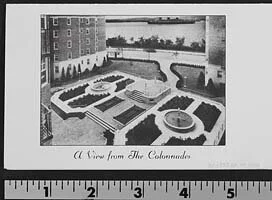 collanades1.jpeg