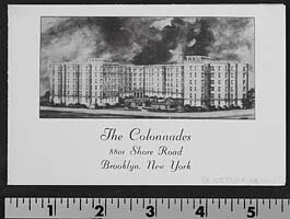 collanades3.jpeg