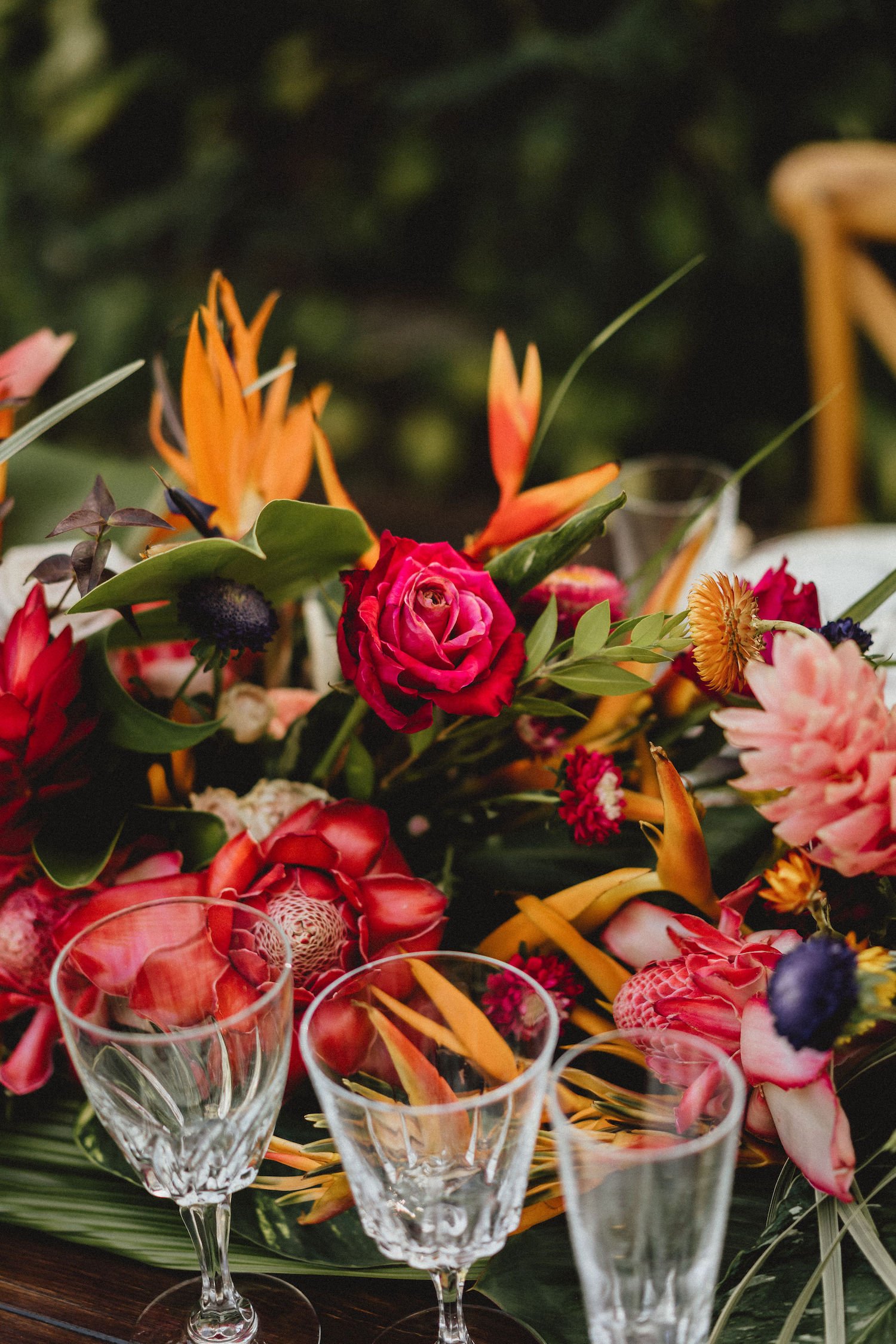 Atelier Composition - Vitamines 