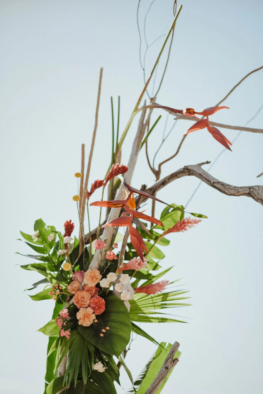 Mariages exotiques