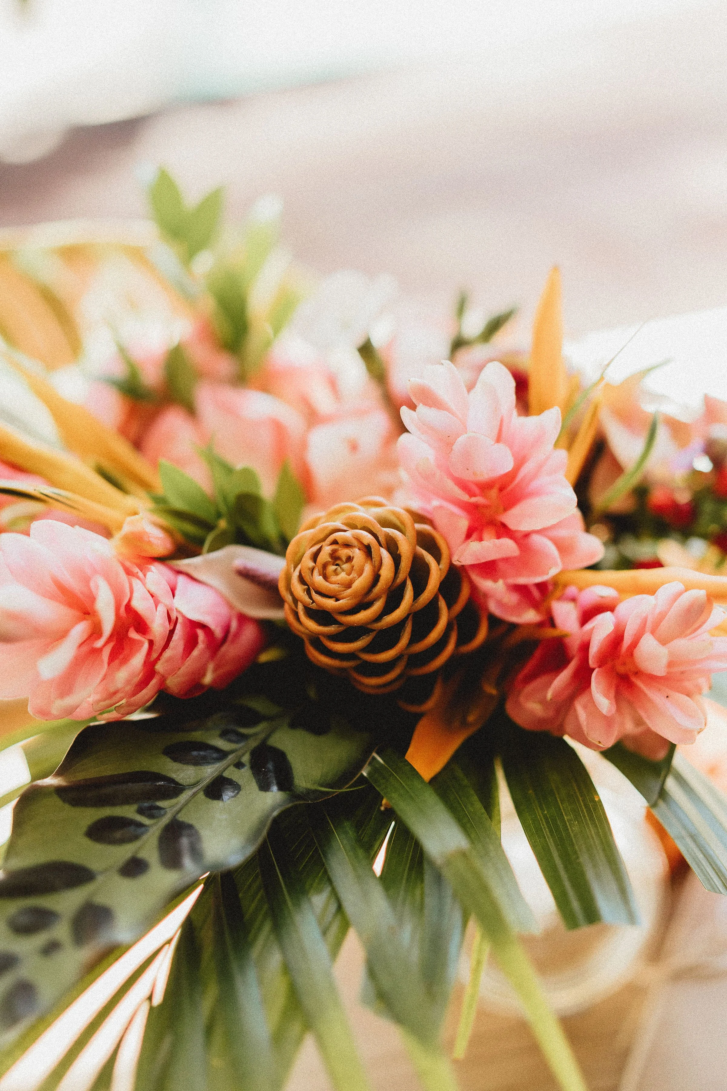 Atelier Composition - Vitamines !