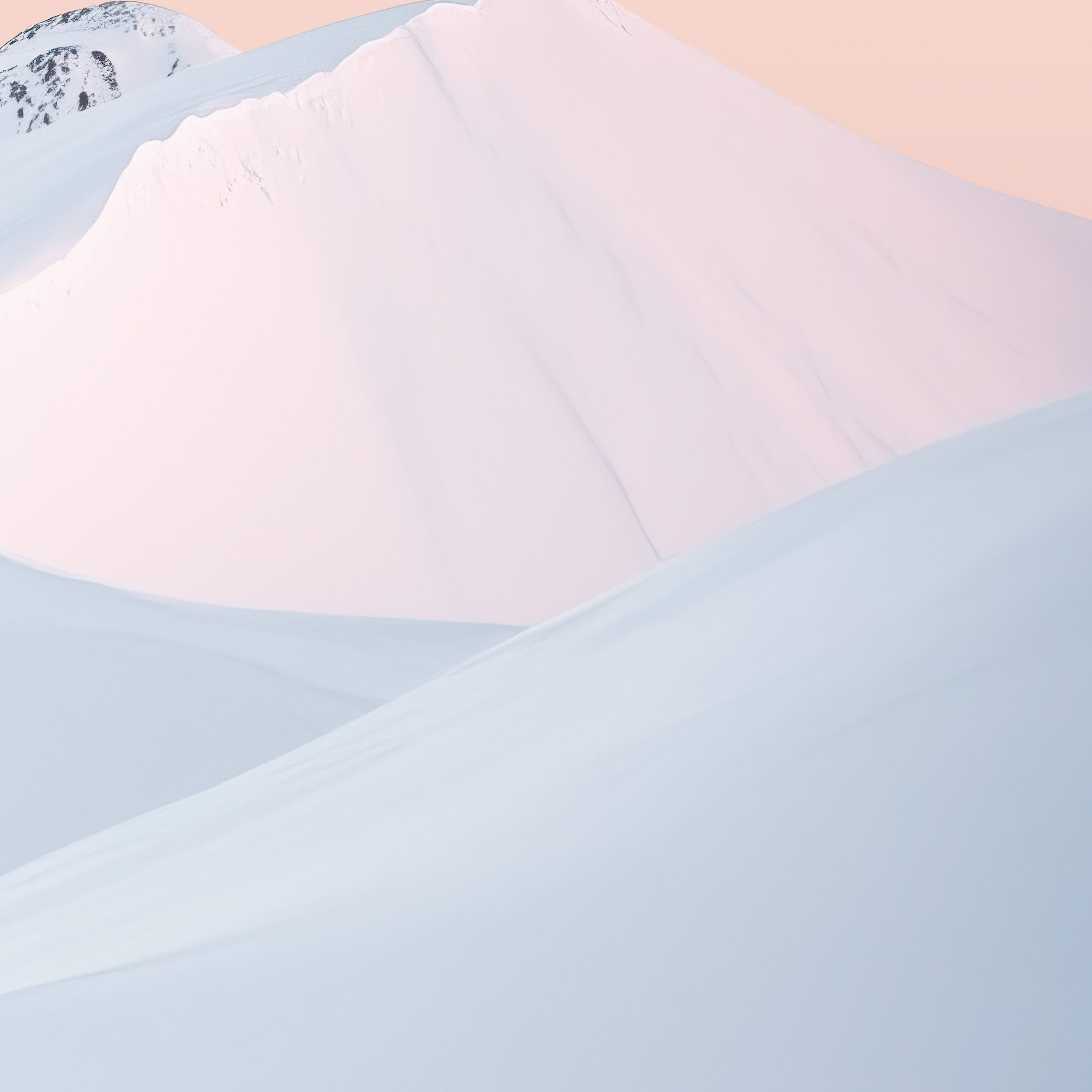 PAFW24_872_Detail2.jpg