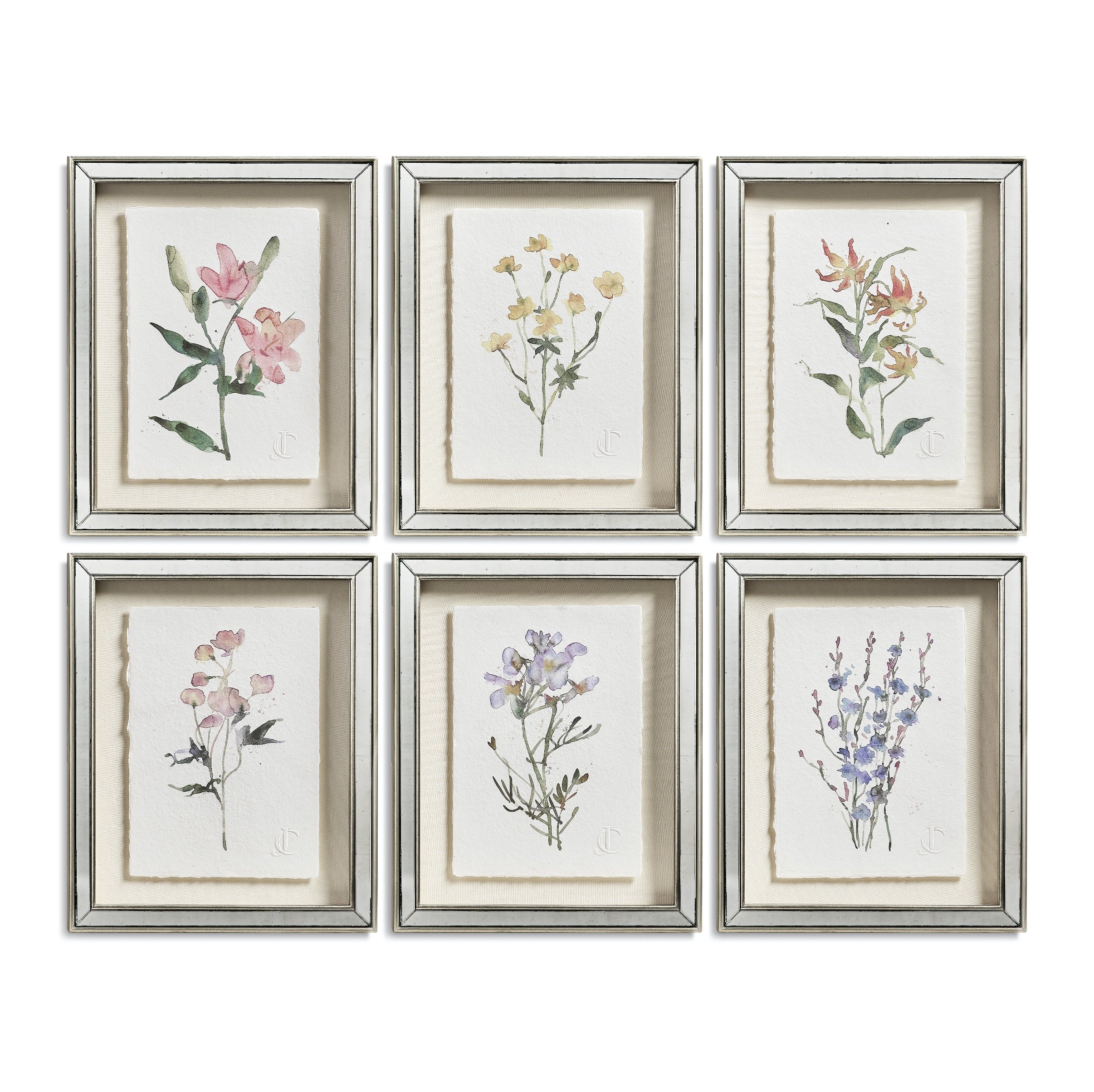 Petals and Process - Set of 6