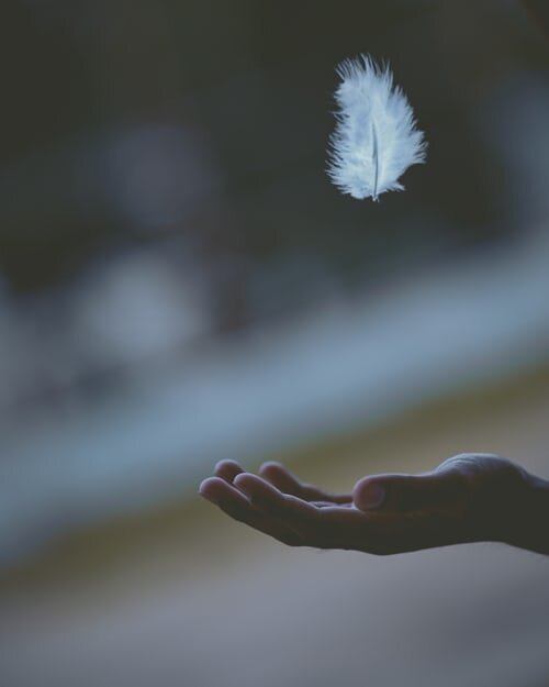 hand and feather.jpeg