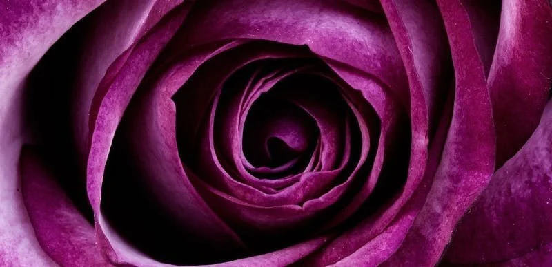 Holding the Calm Center: Global Meditation Gathering