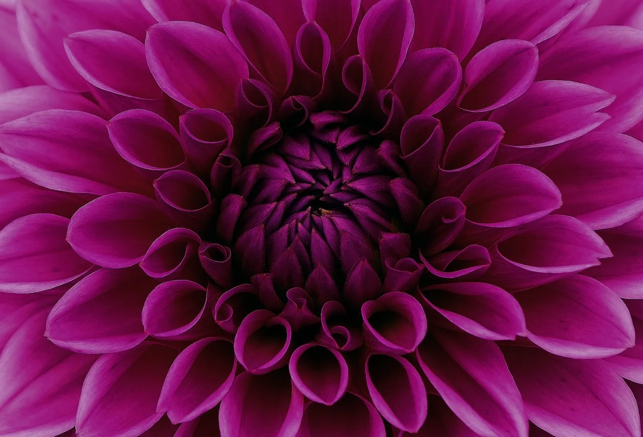 Deep Entrepreneurship Webinar Series!