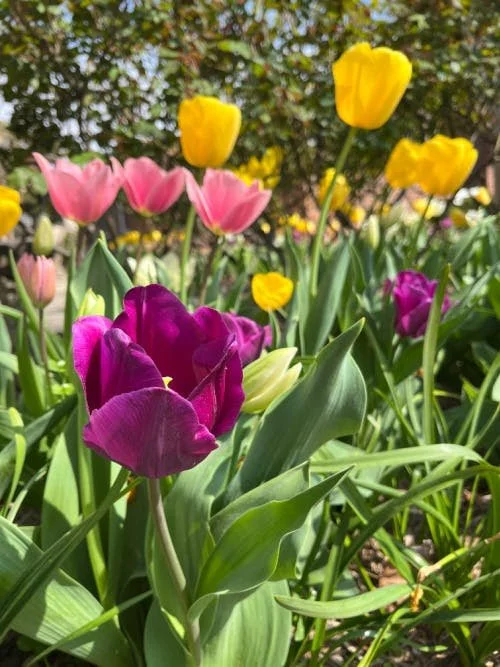 Wishing You A Joyful Season of Rebirth &amp; Resurrection