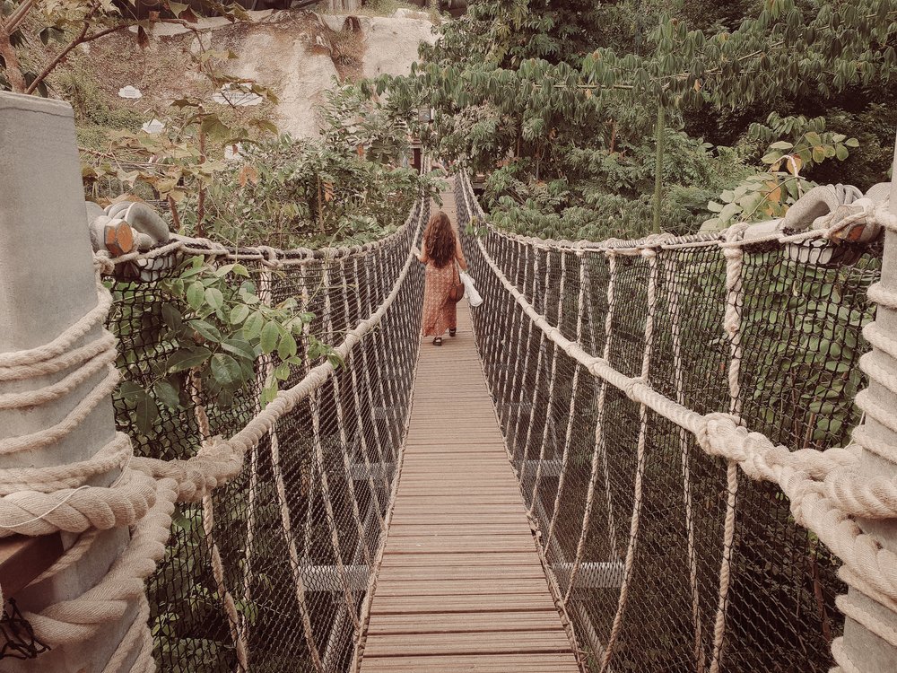 Rope bridge walk