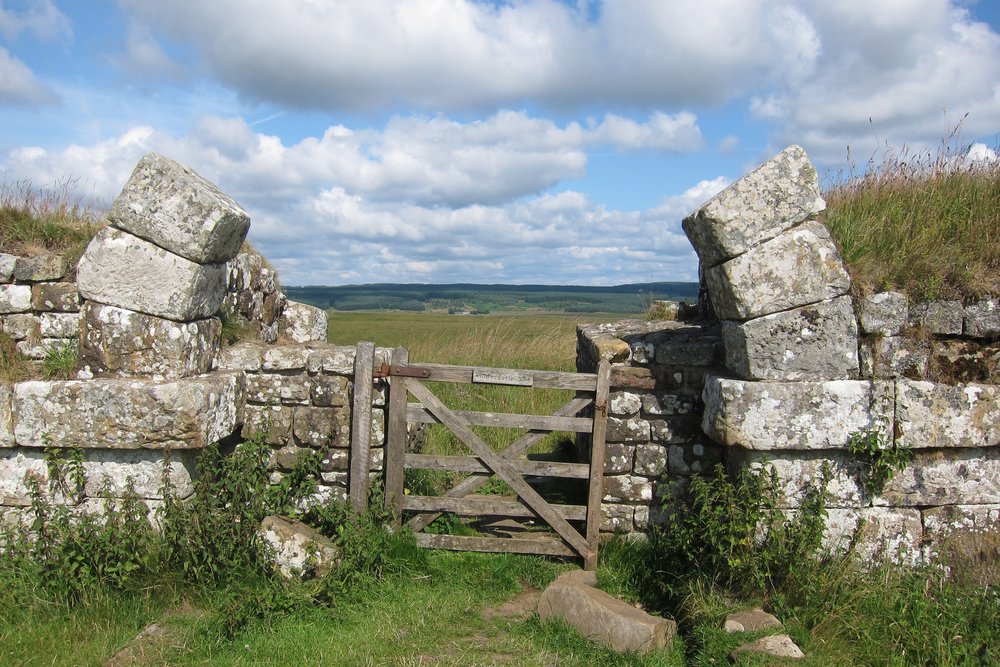 Narrowed gate