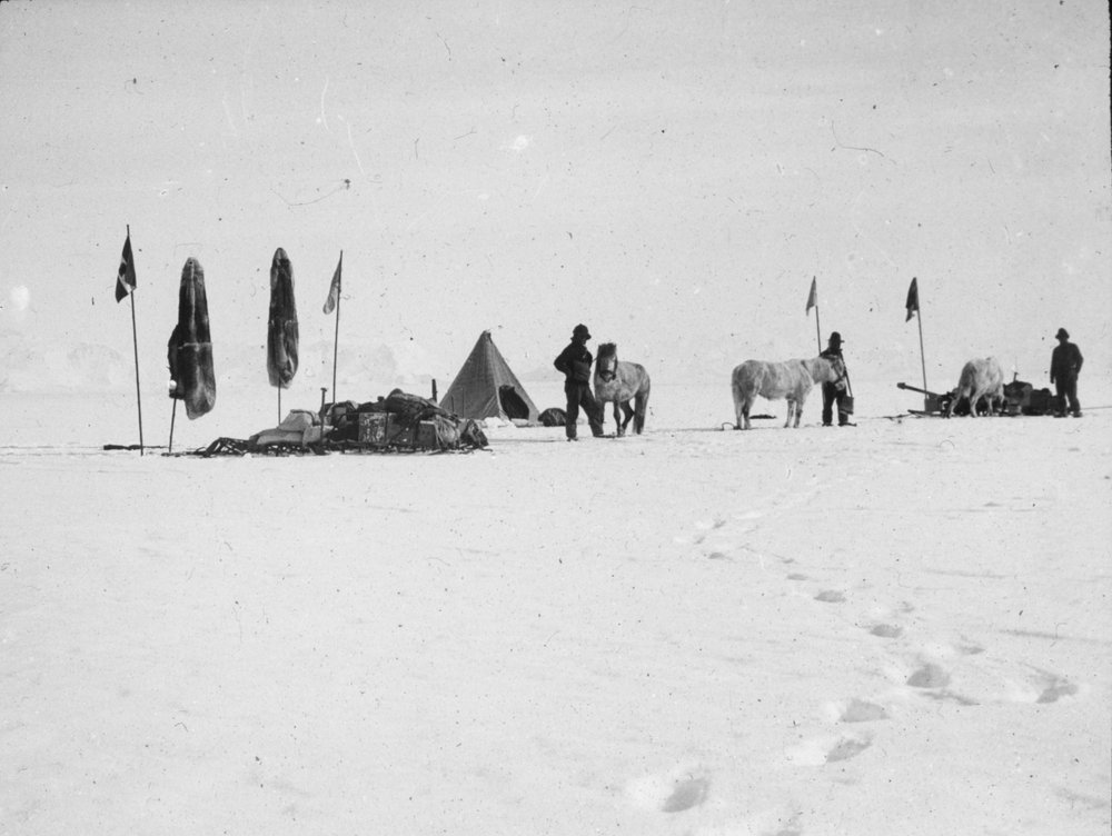 Shackleton's Nimrod expedition