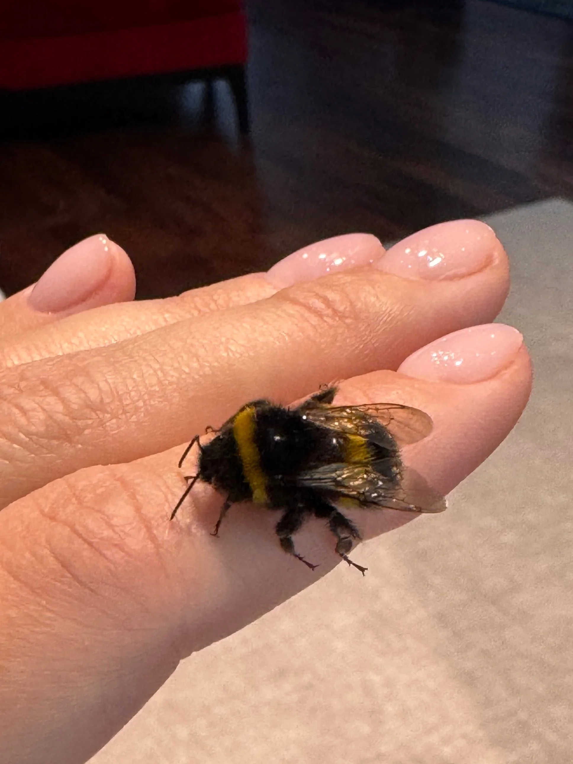 Do you speak the Language of the Universe?