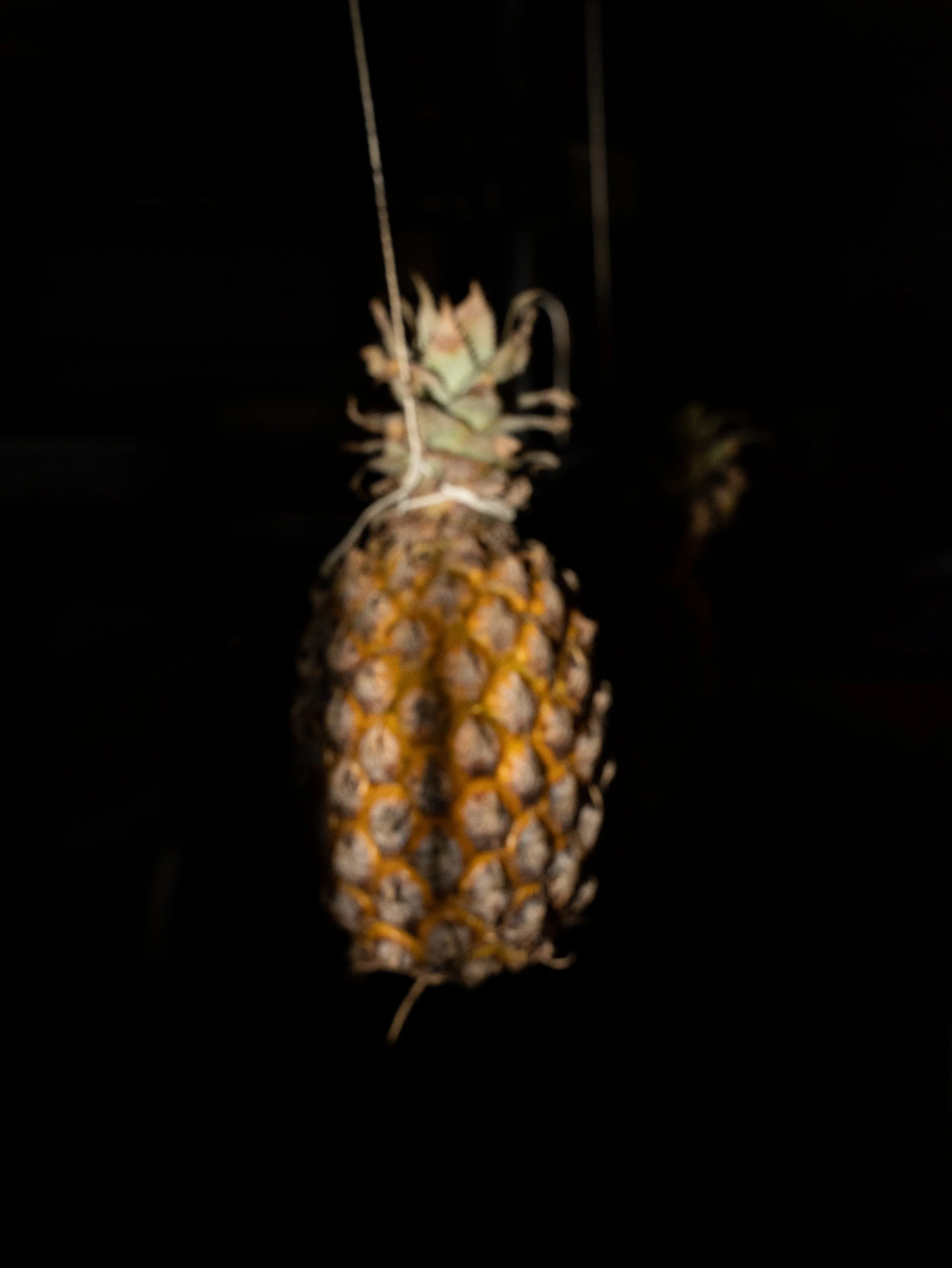 DSC03865.jpg