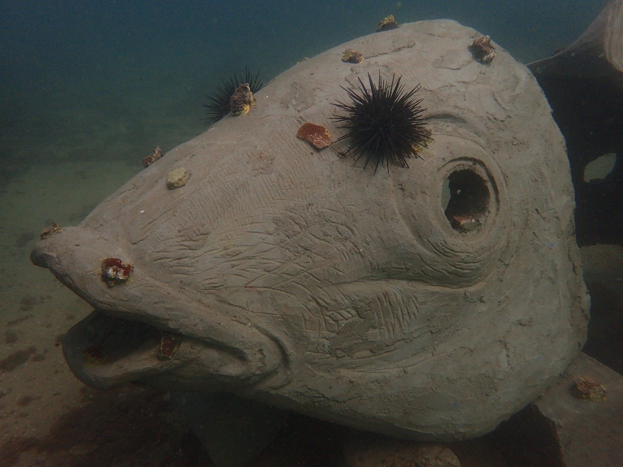Corals adorn the underwater sculpture.