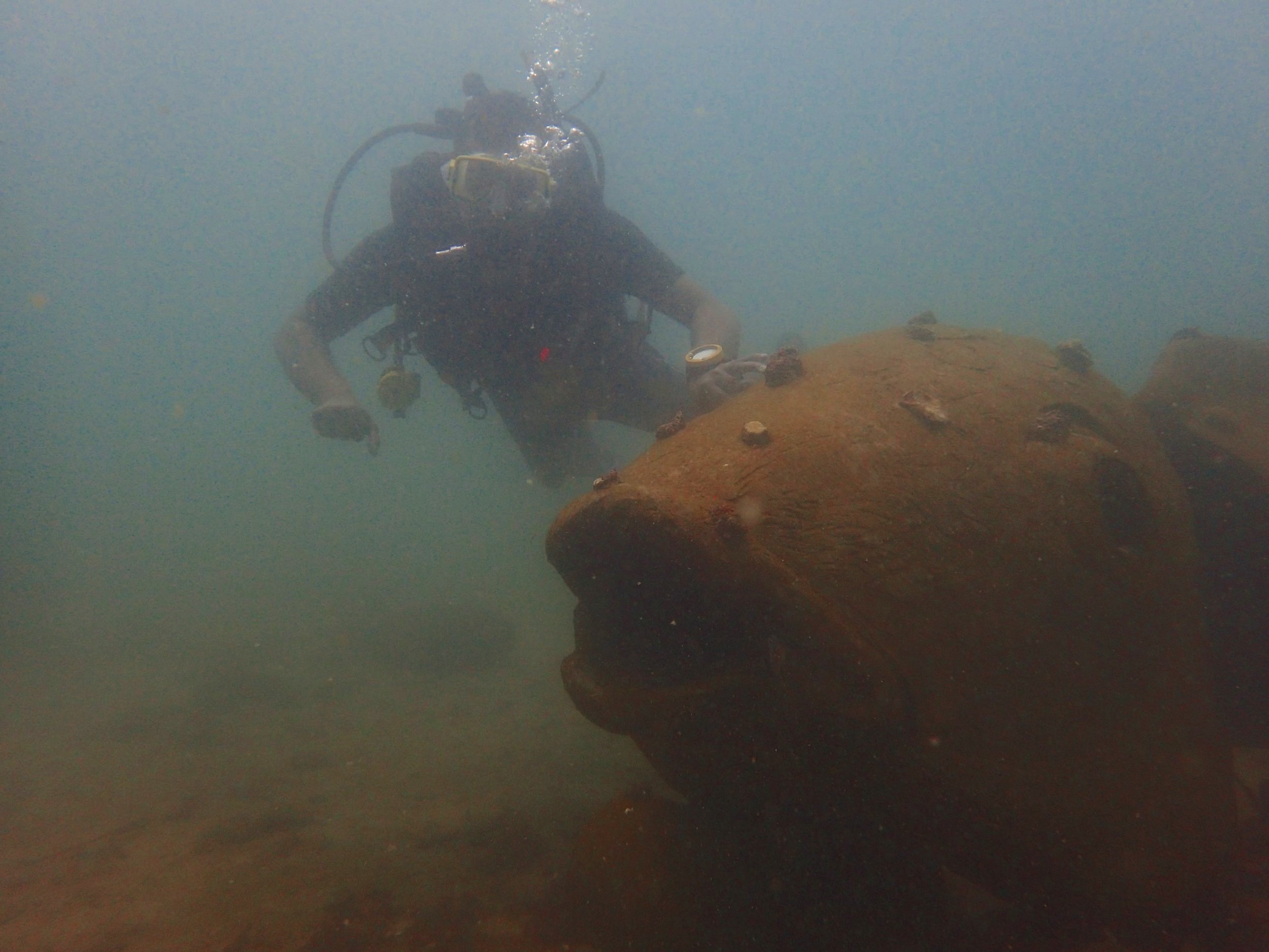 Checking on the corals.