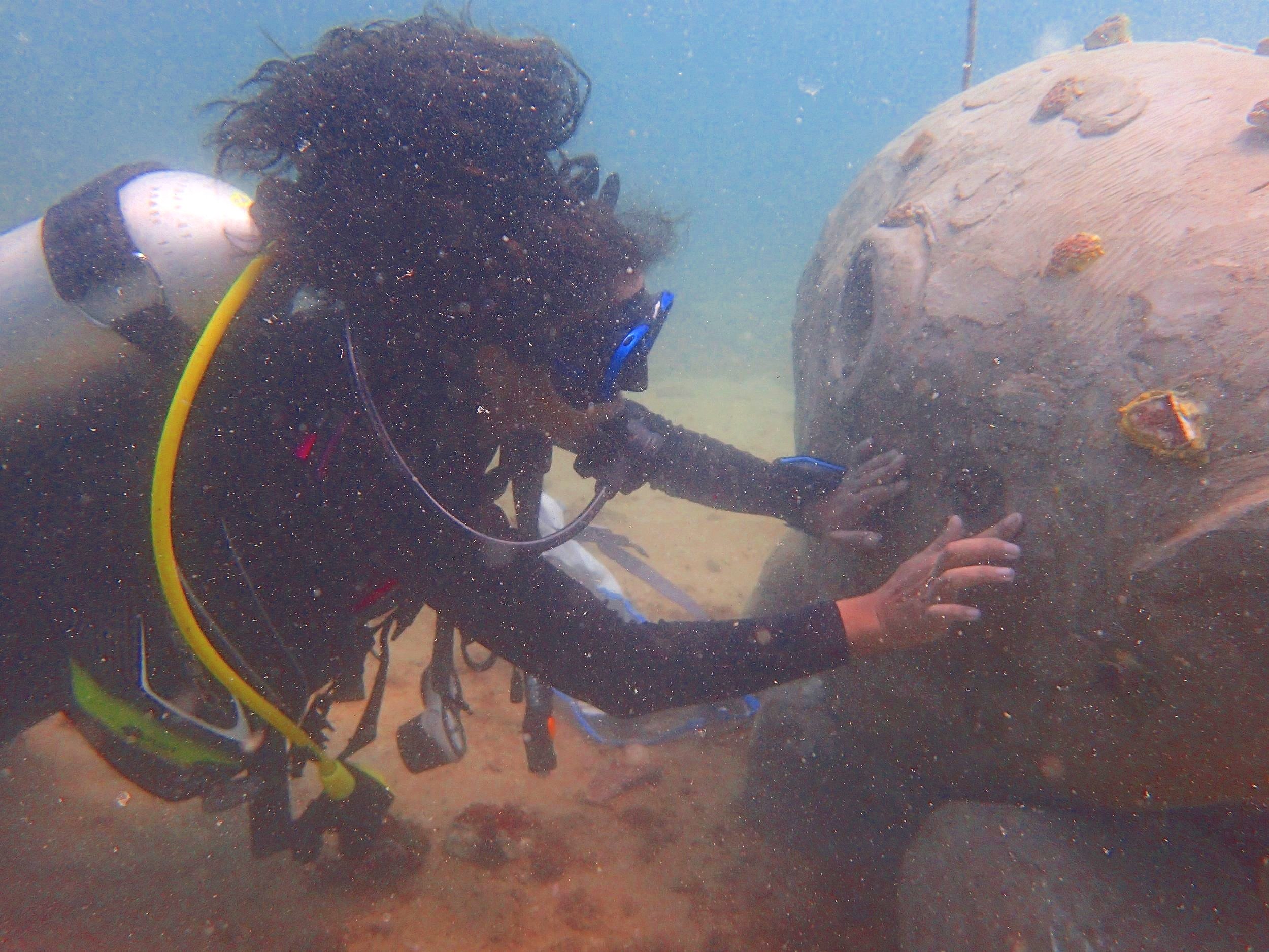 The Silent Scream will soon be a thriving coral reef.